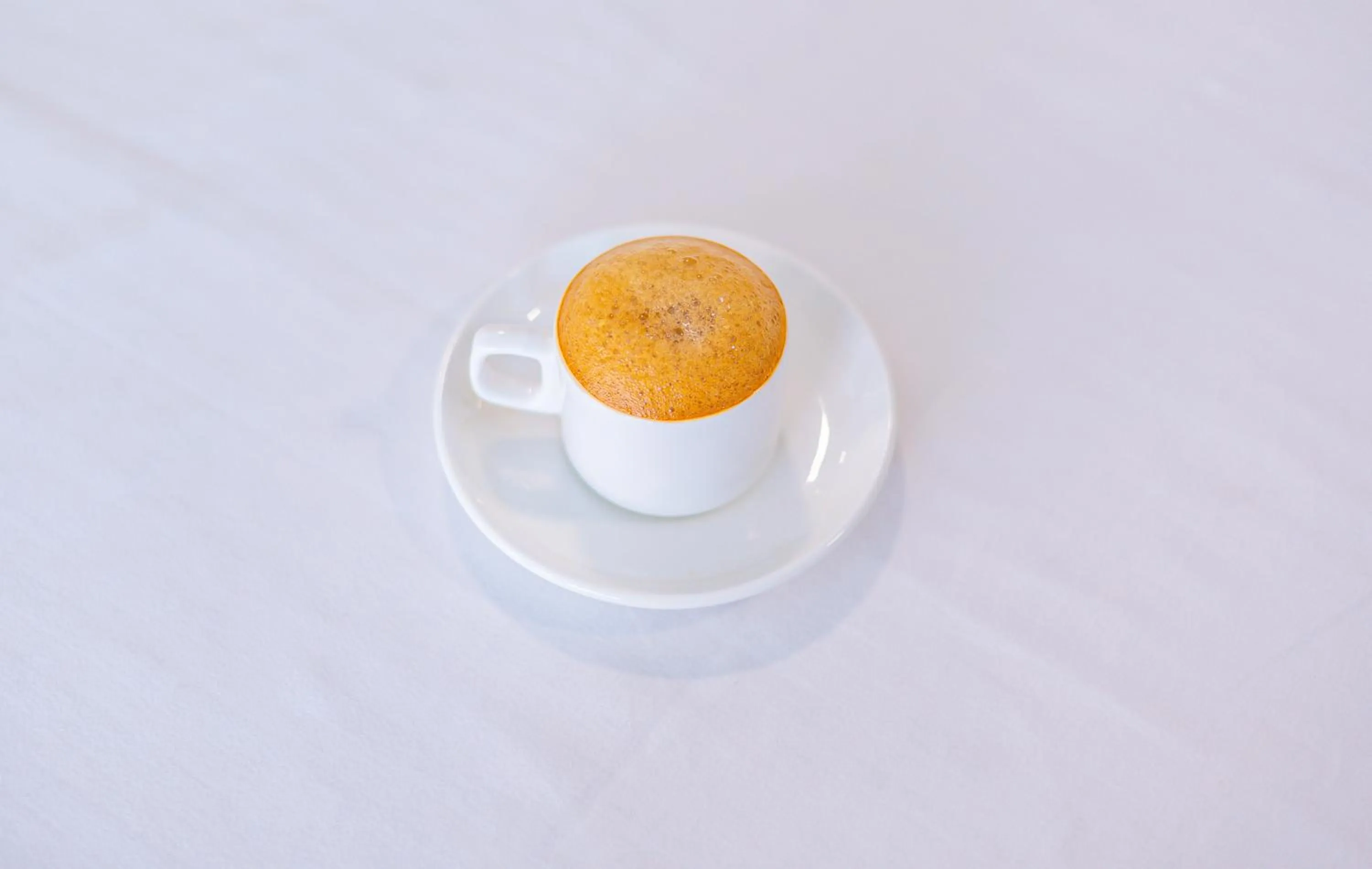 Restaurant/places to eat in Sri Ramakrishna Hotel