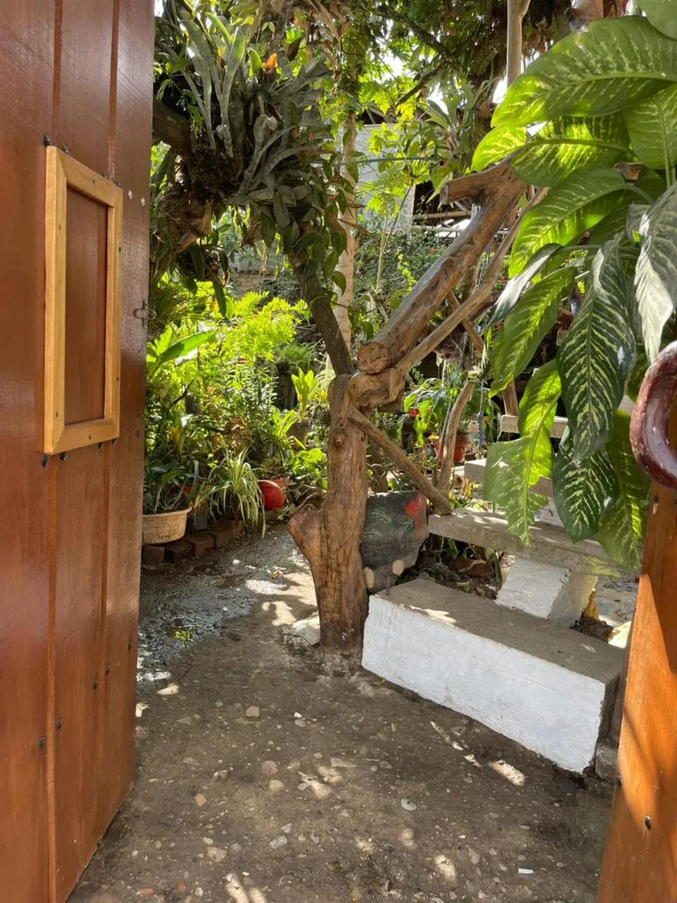 Hotel Casa Tarzan San Agustin