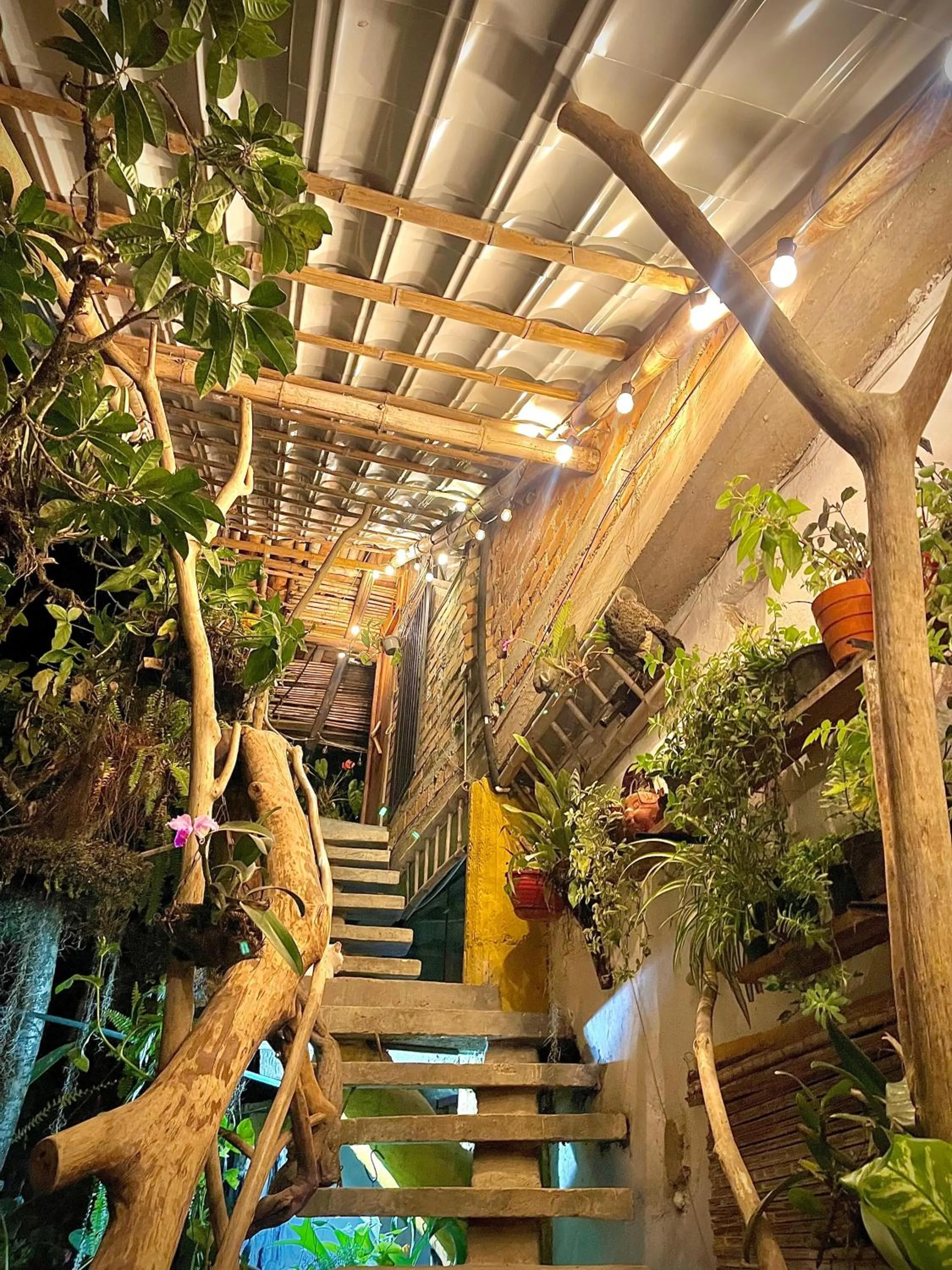 Facade/entrance in Hotel Casa Tarzan San Agustin