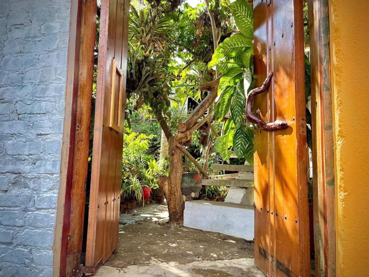 Hotel Casa Tarzan San Agustin