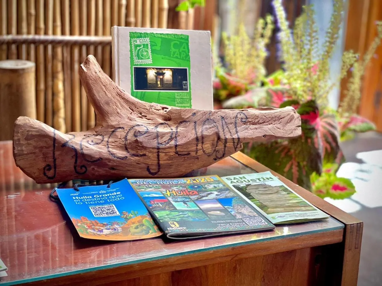 Hotel Casa Tarzan San Agustin
