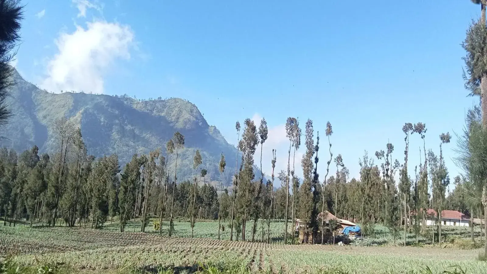 Tengger Indah Seruni Bromo Tengger Indah Seruni Bromo