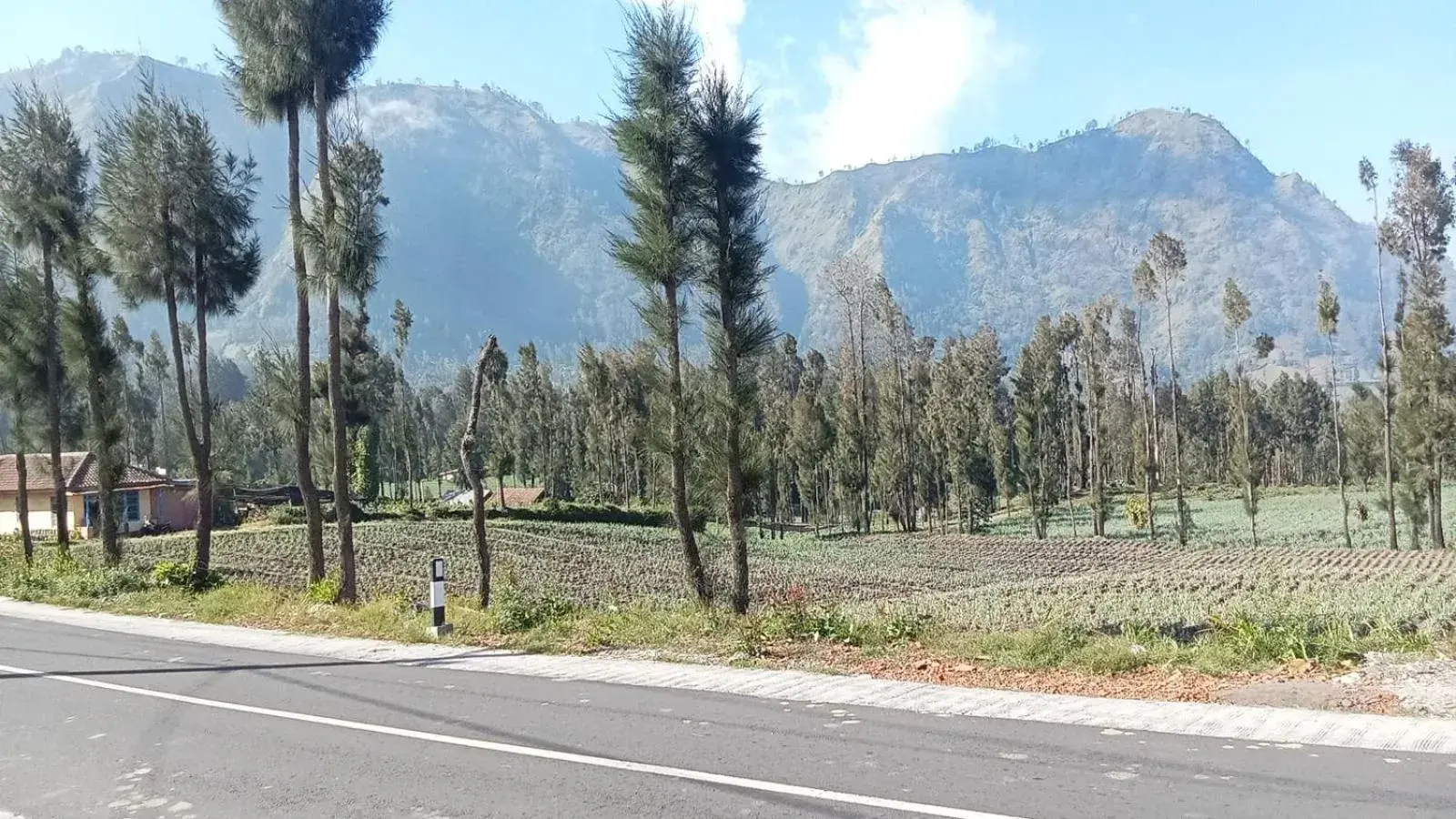 Tengger Indah Seruni Bromo Tengger Indah Seruni Bromo