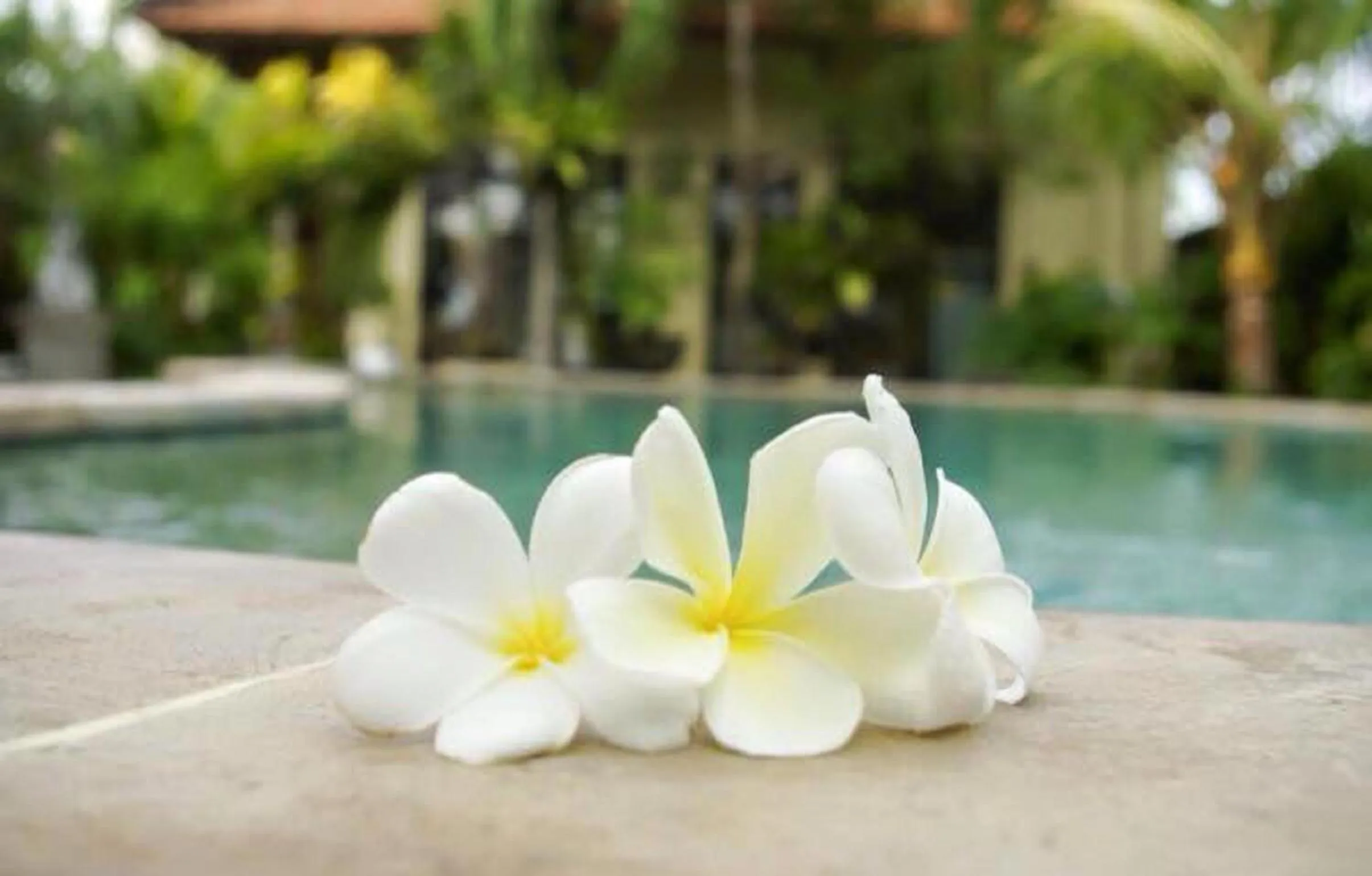 Decorative detail in Villa Chandra