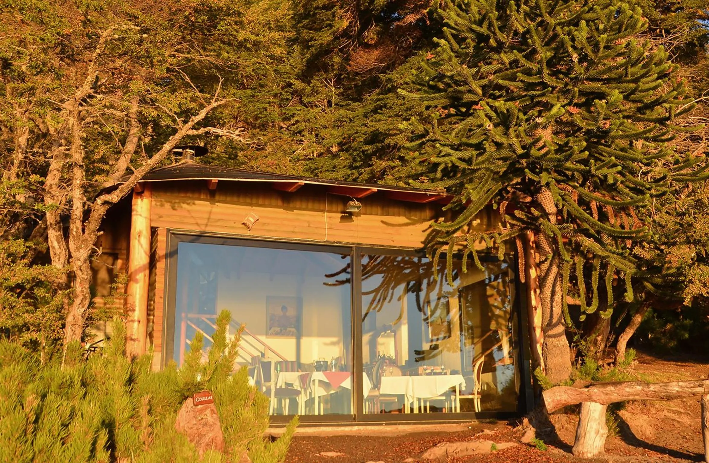 Restaurant/places to eat in Apart Hotel La Busqueda