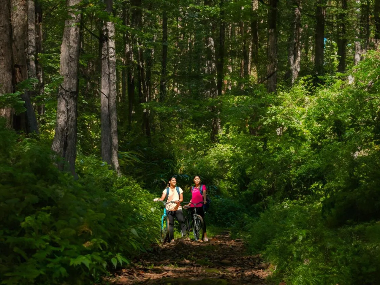 Activities in Le Montfort Resort