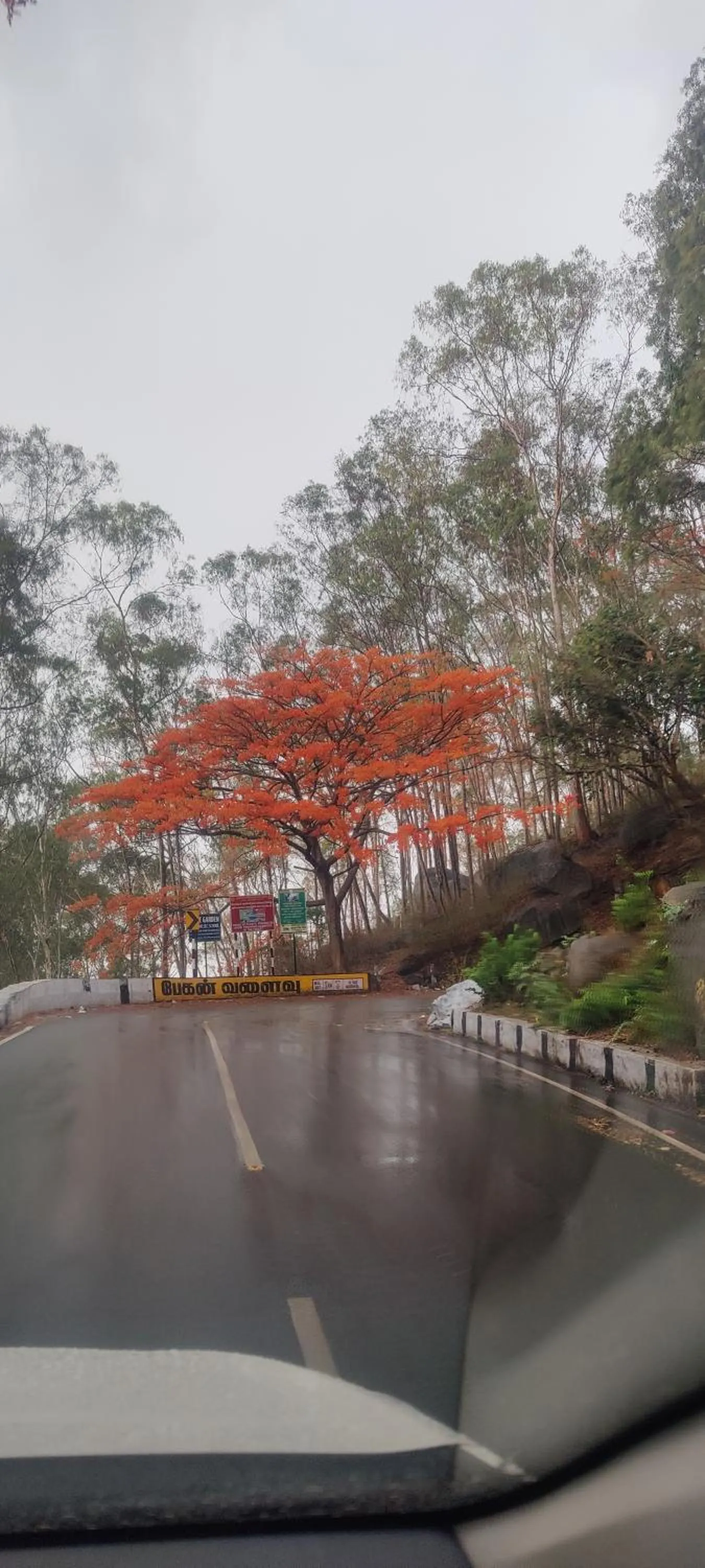 Natural landscape in yelagiri residency