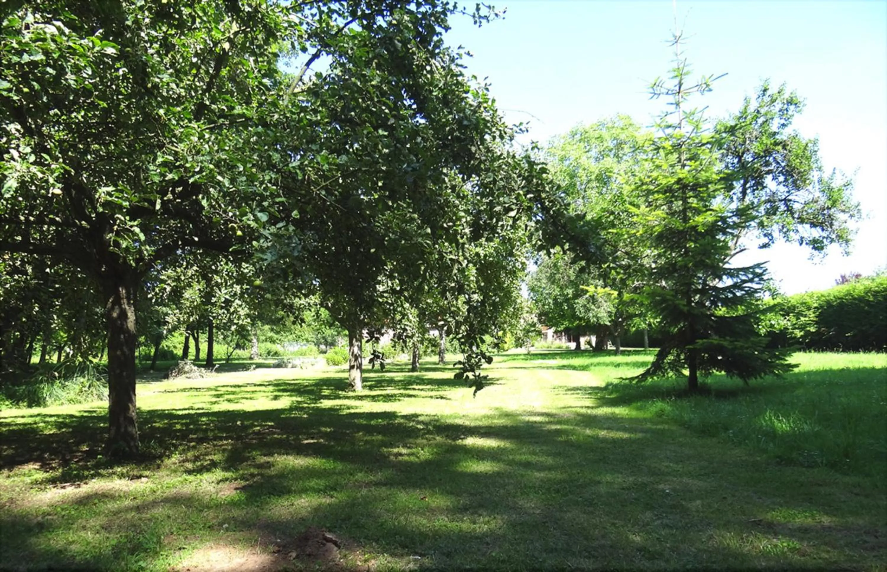 Garden in Le Chemin d'Ulphe