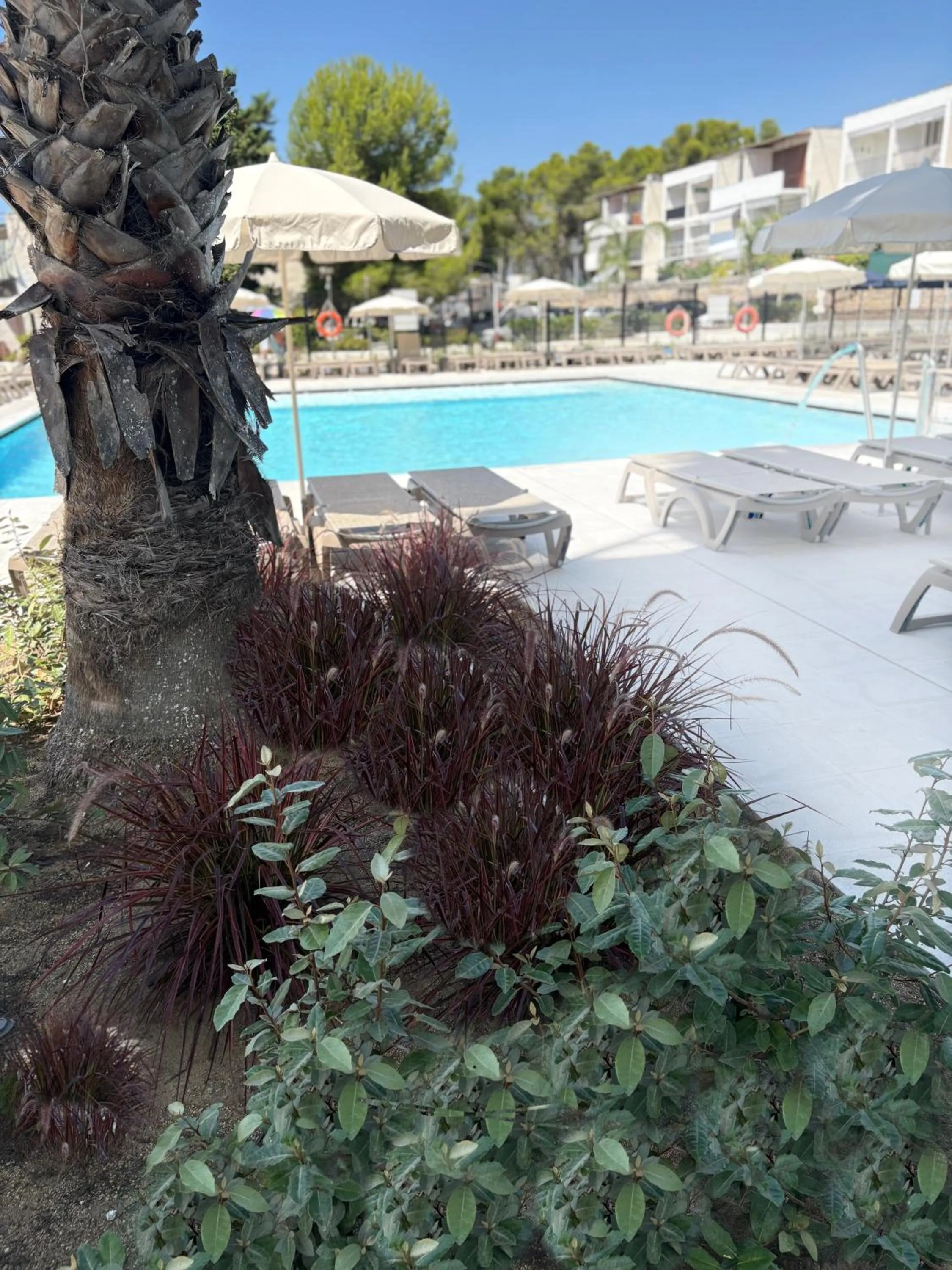 Swimming pool in Hotel SunClub CalaVinya - Adults Recommended