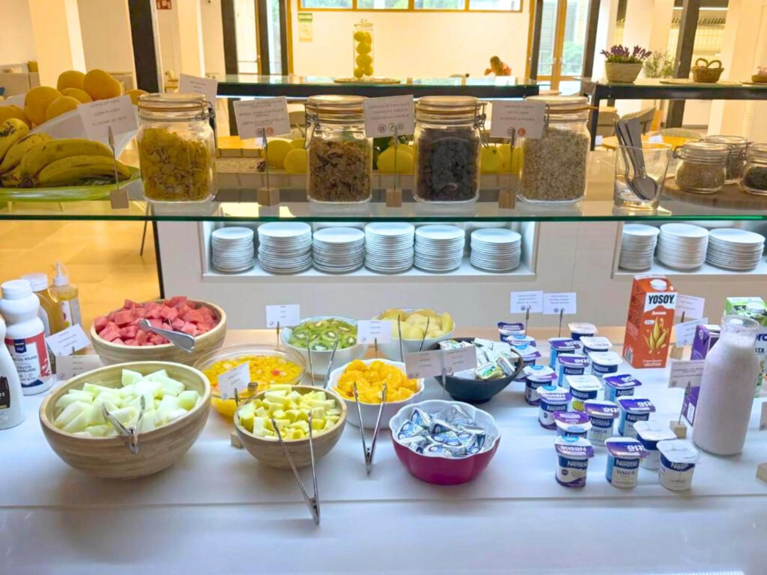 Food and drinks in Hotel SunClub CalaVinya - Adults Recommended