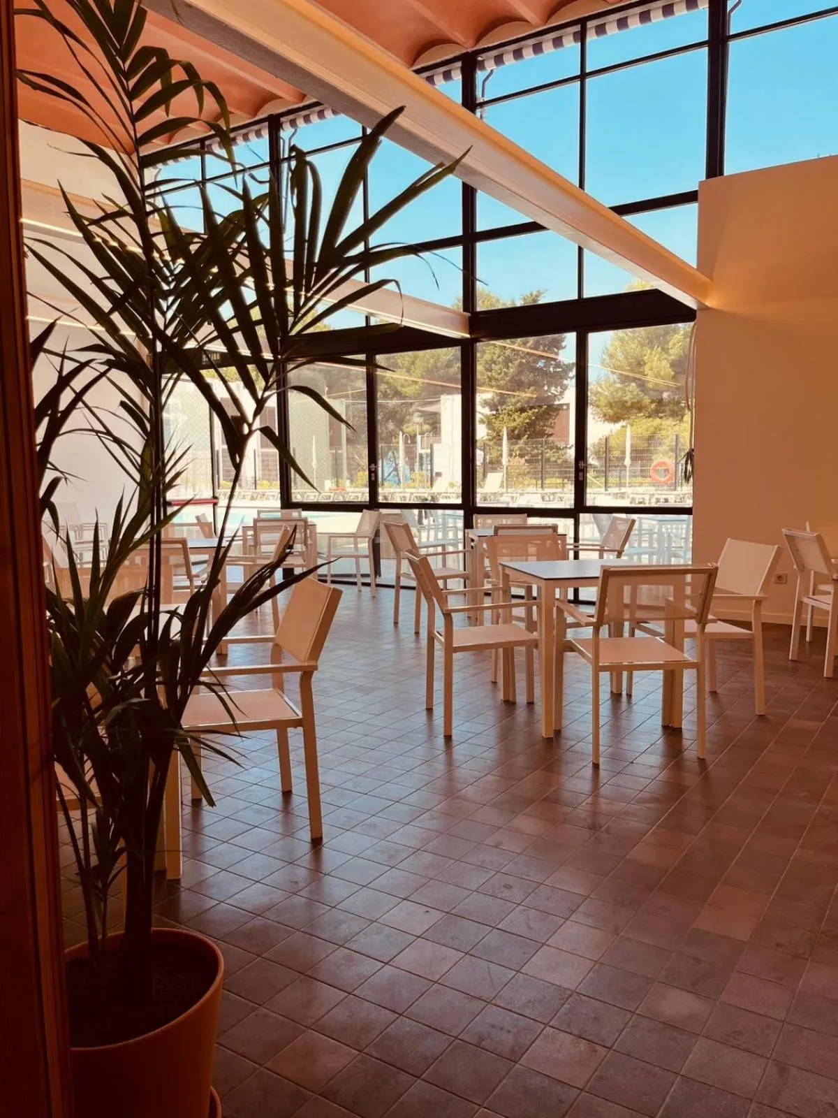 Lounge or bar in Hotel SunClub CalaVinya - Adults Recommended