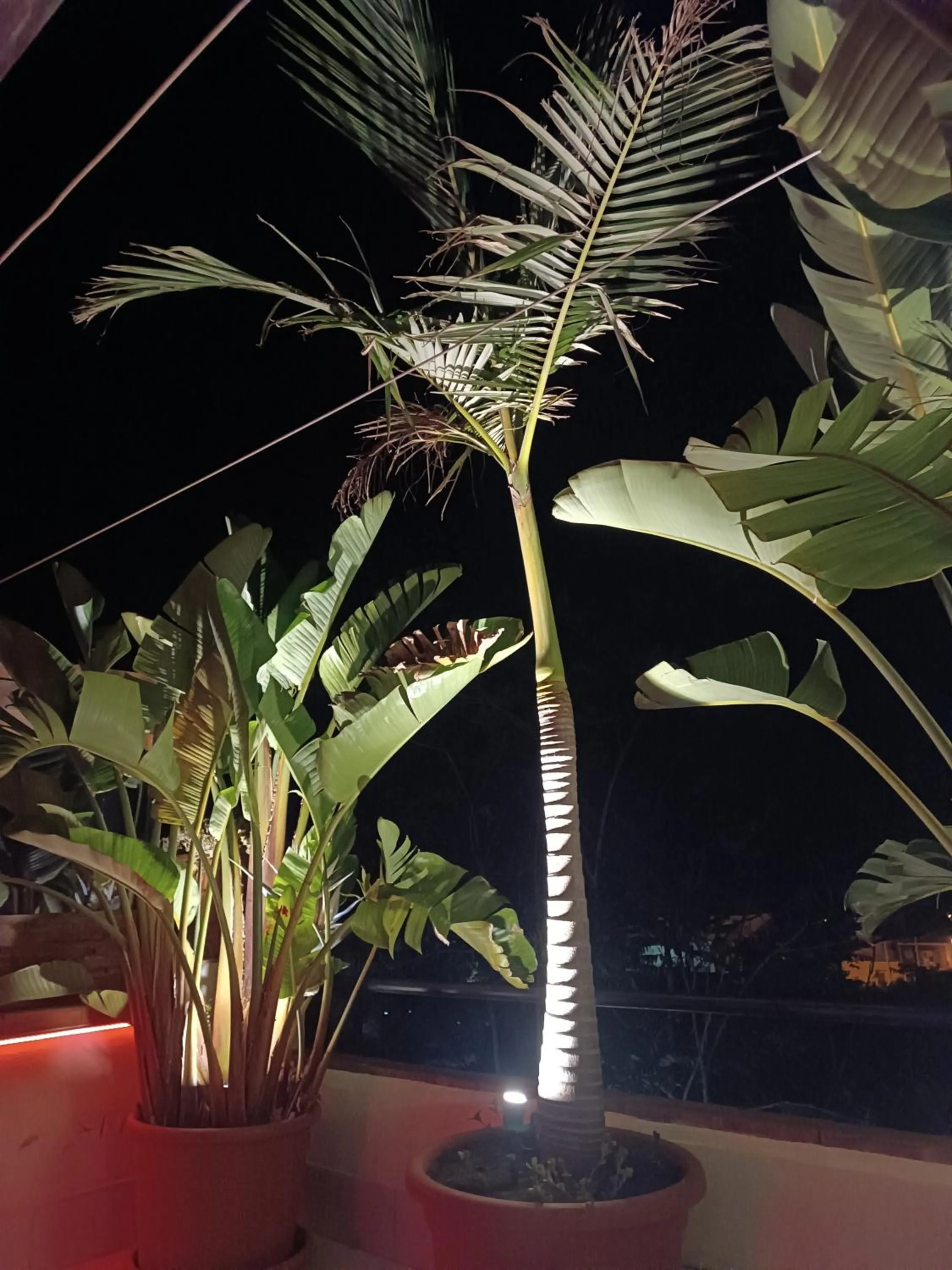 Balcony/Terrace in B&B Villa Lidia