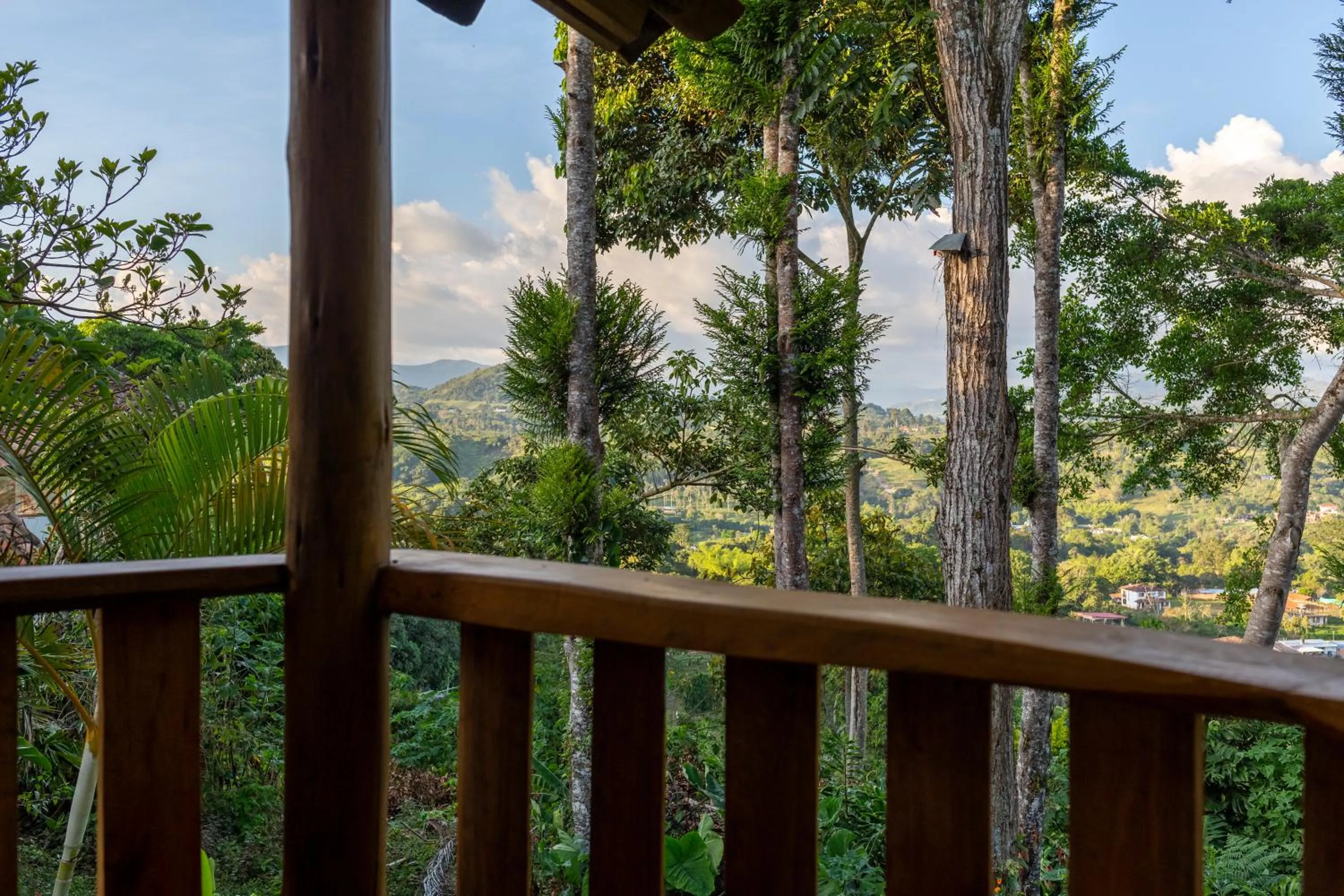 Triple Room - single occupancy in Hostel Casa de Nelly