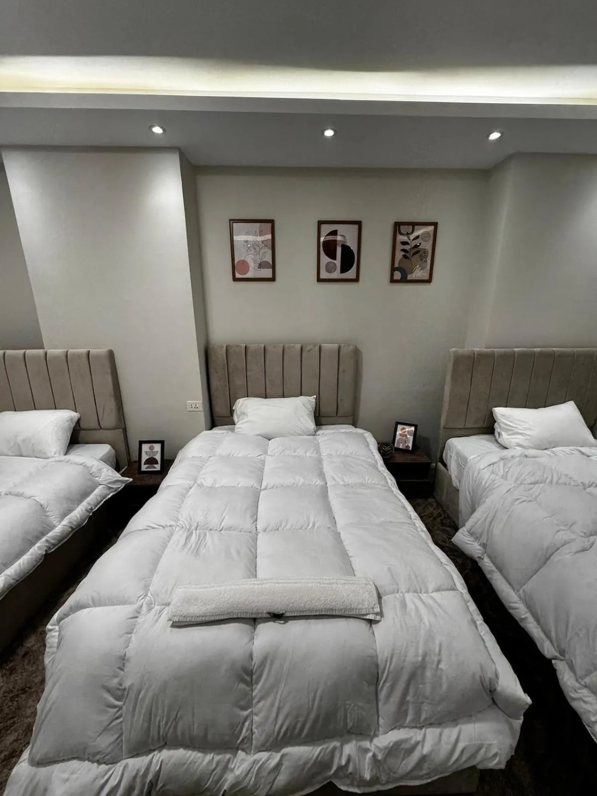 Queen of Zamalek 3BR apt