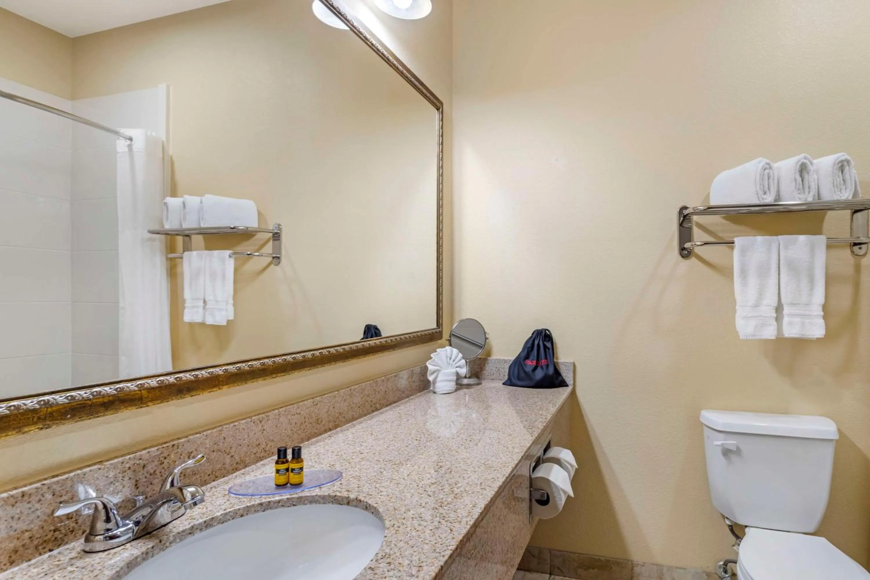 Bathroom in Best Western Plus Crown Colony Inn & Suites