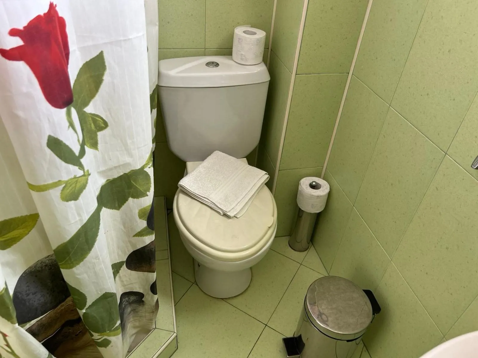 Toilet in Guest House Dani