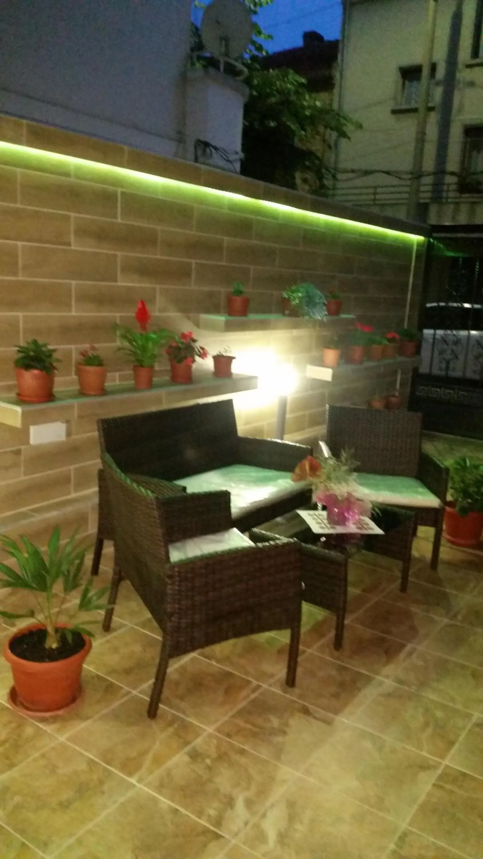 Garden in Guest House Dani