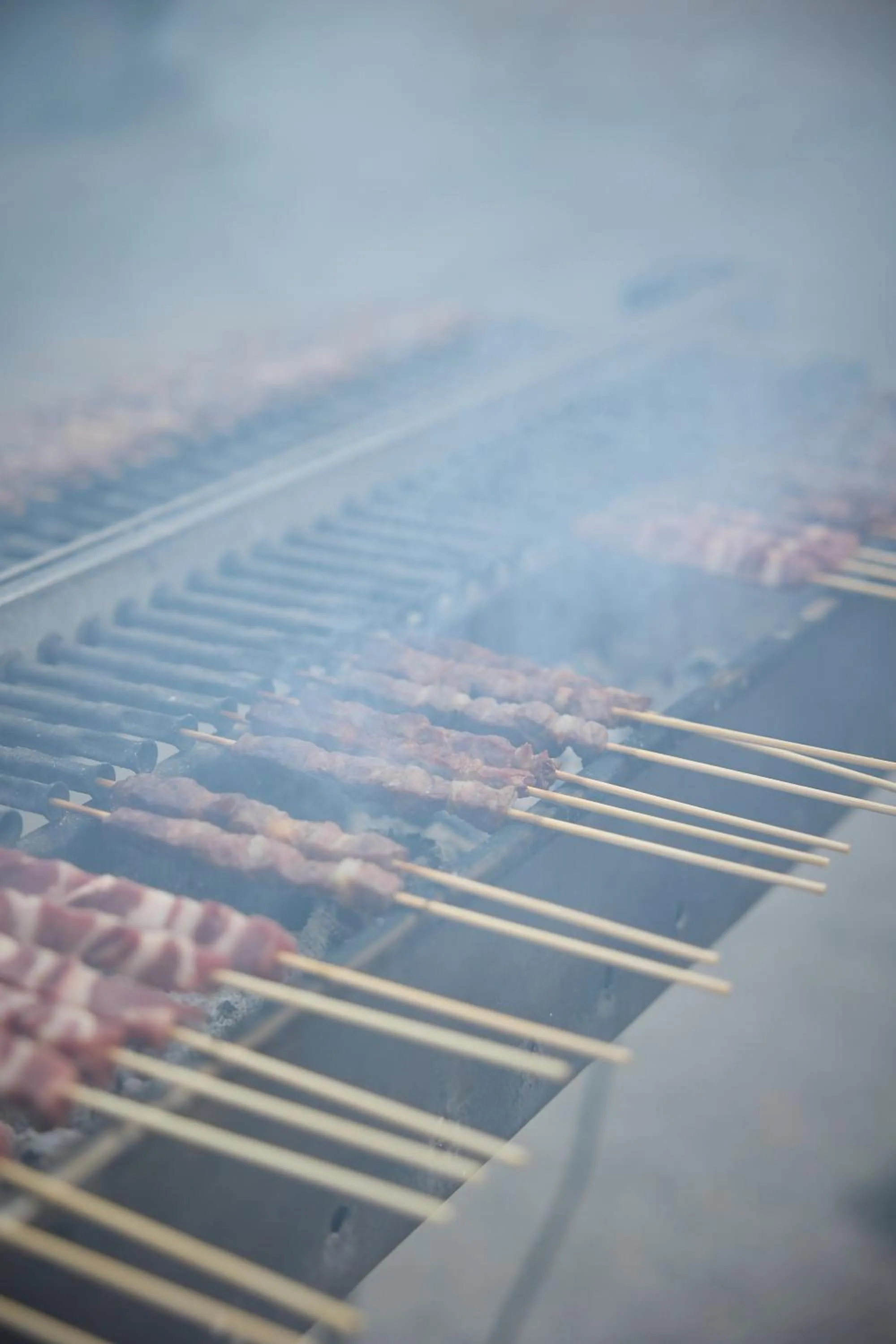 BBQ facilities in Hotel Club La Villa