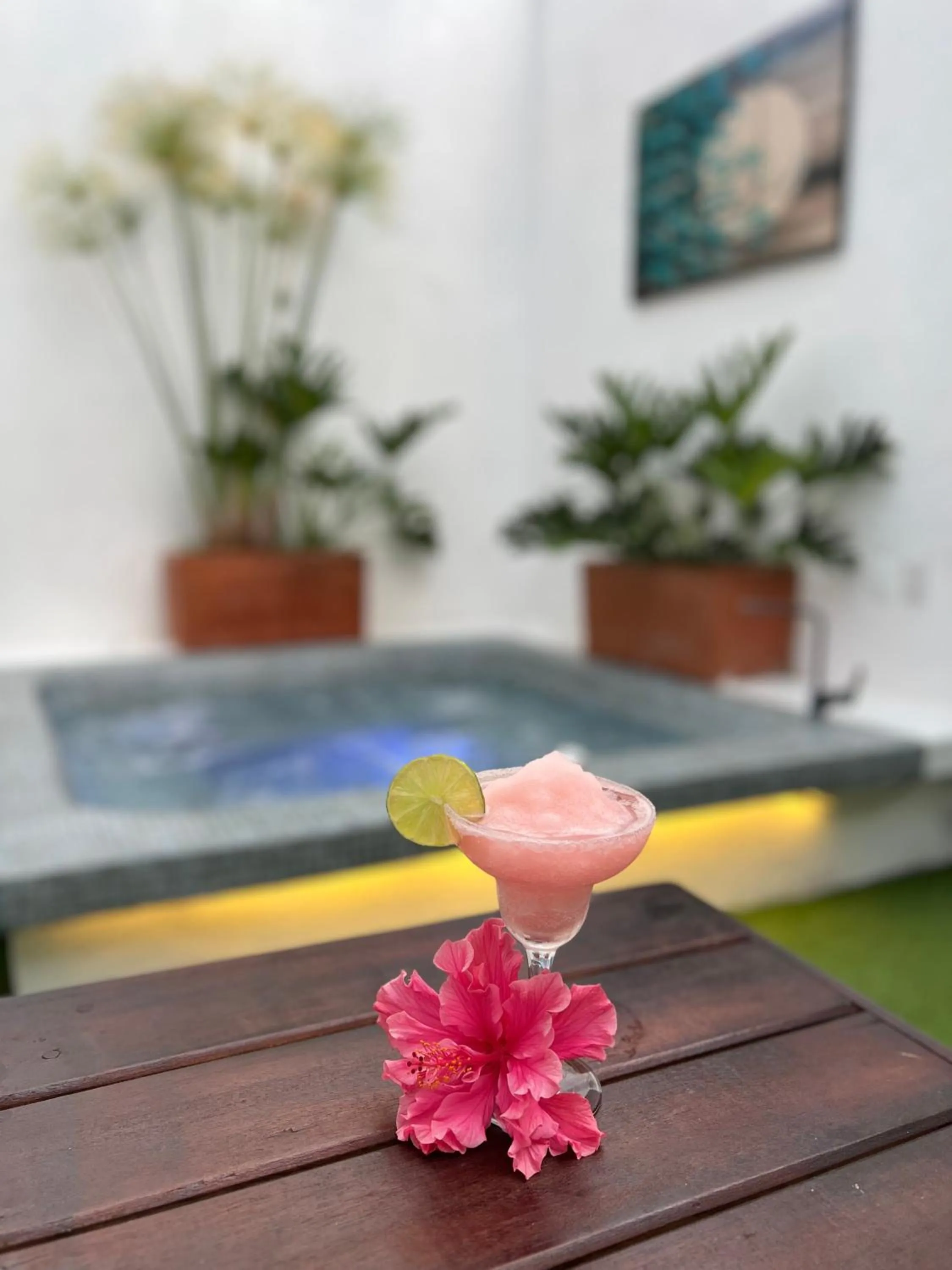 Patio in Springhills Quito Airport