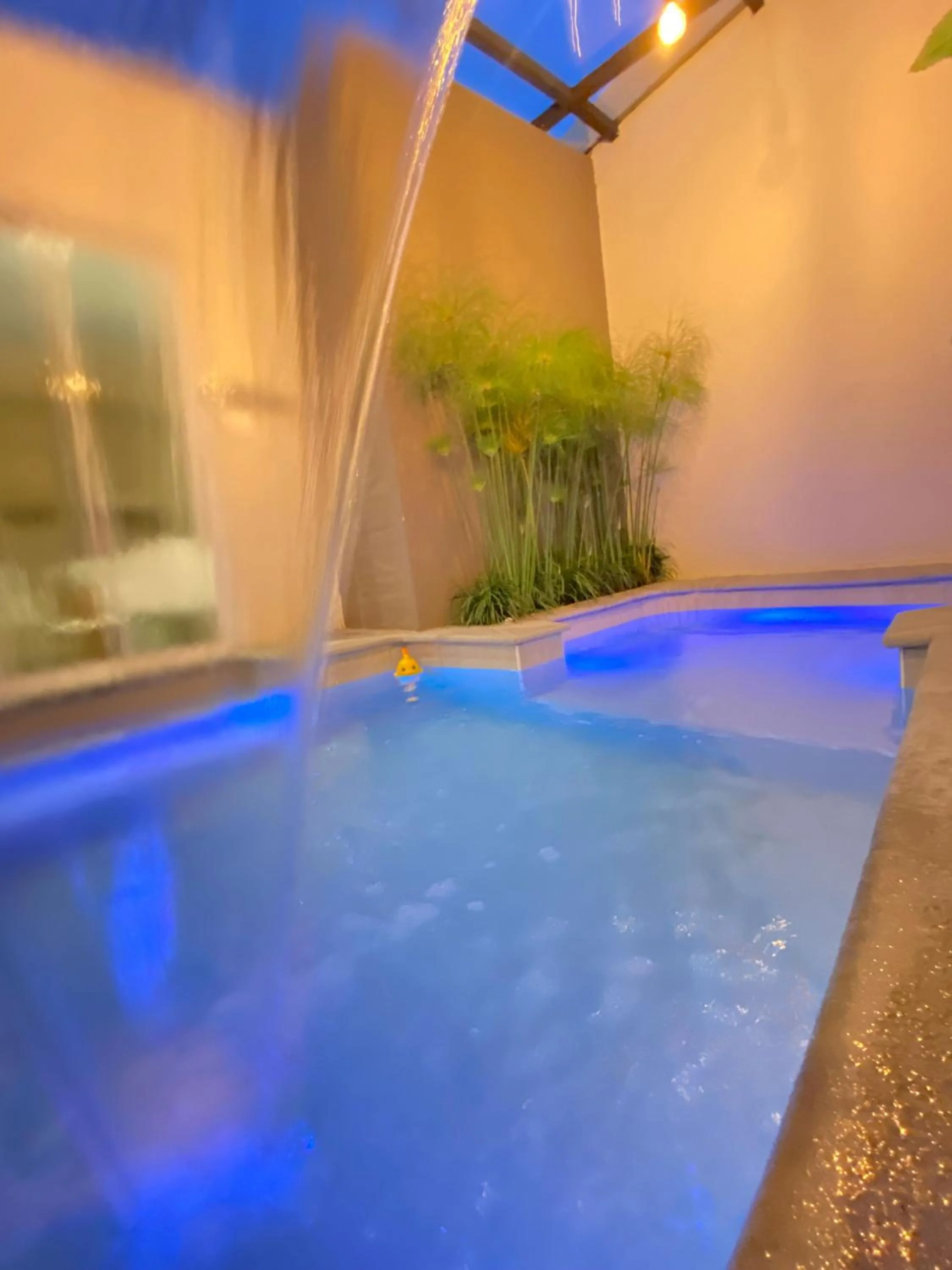 Swimming pool in Springhills Quito Airport