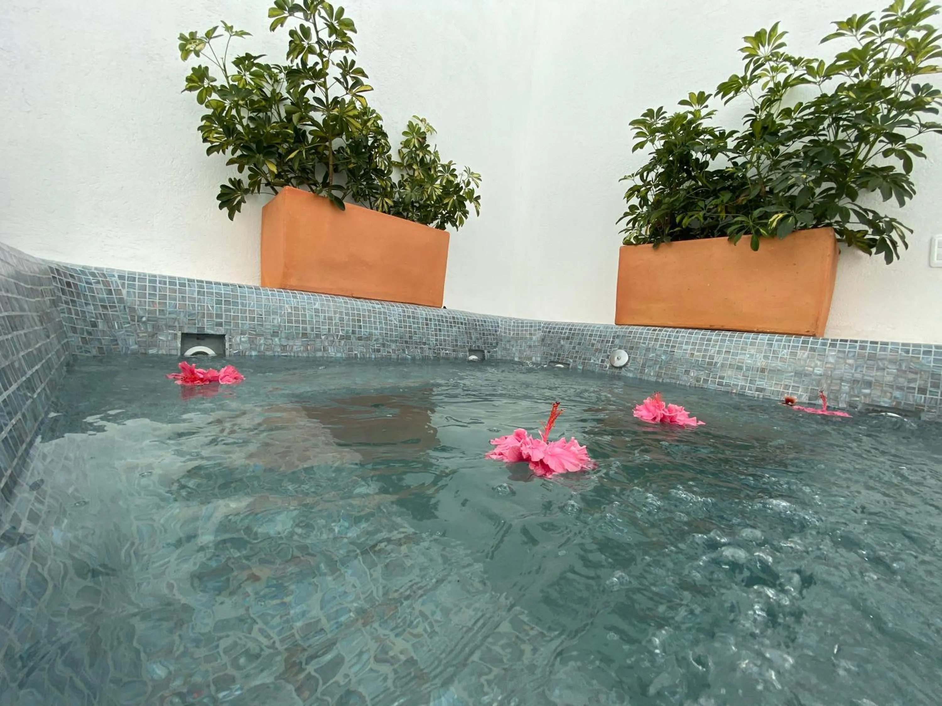 Hot Tub in Springhills Quito Airport