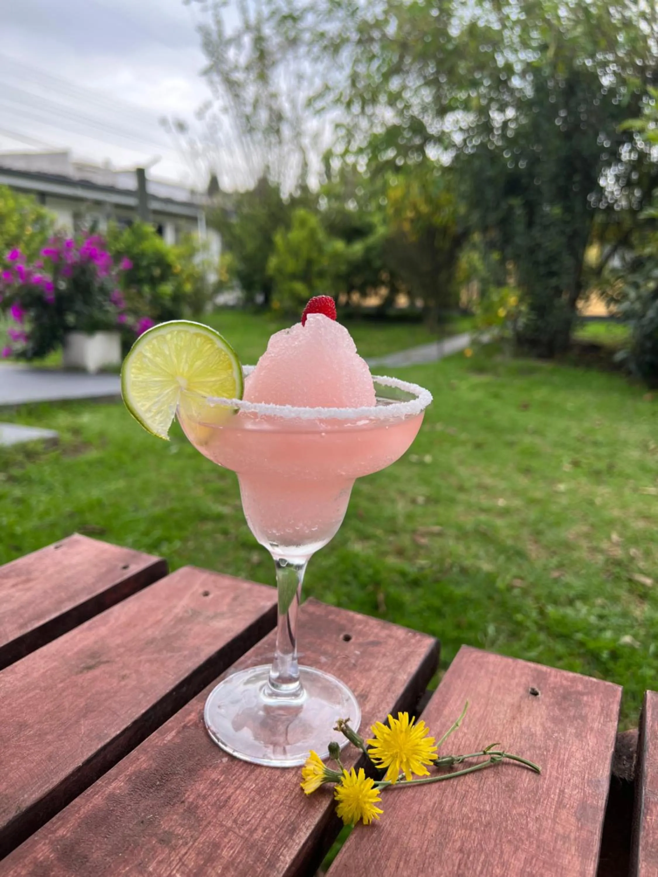 Drinks in Springhills Quito Airport