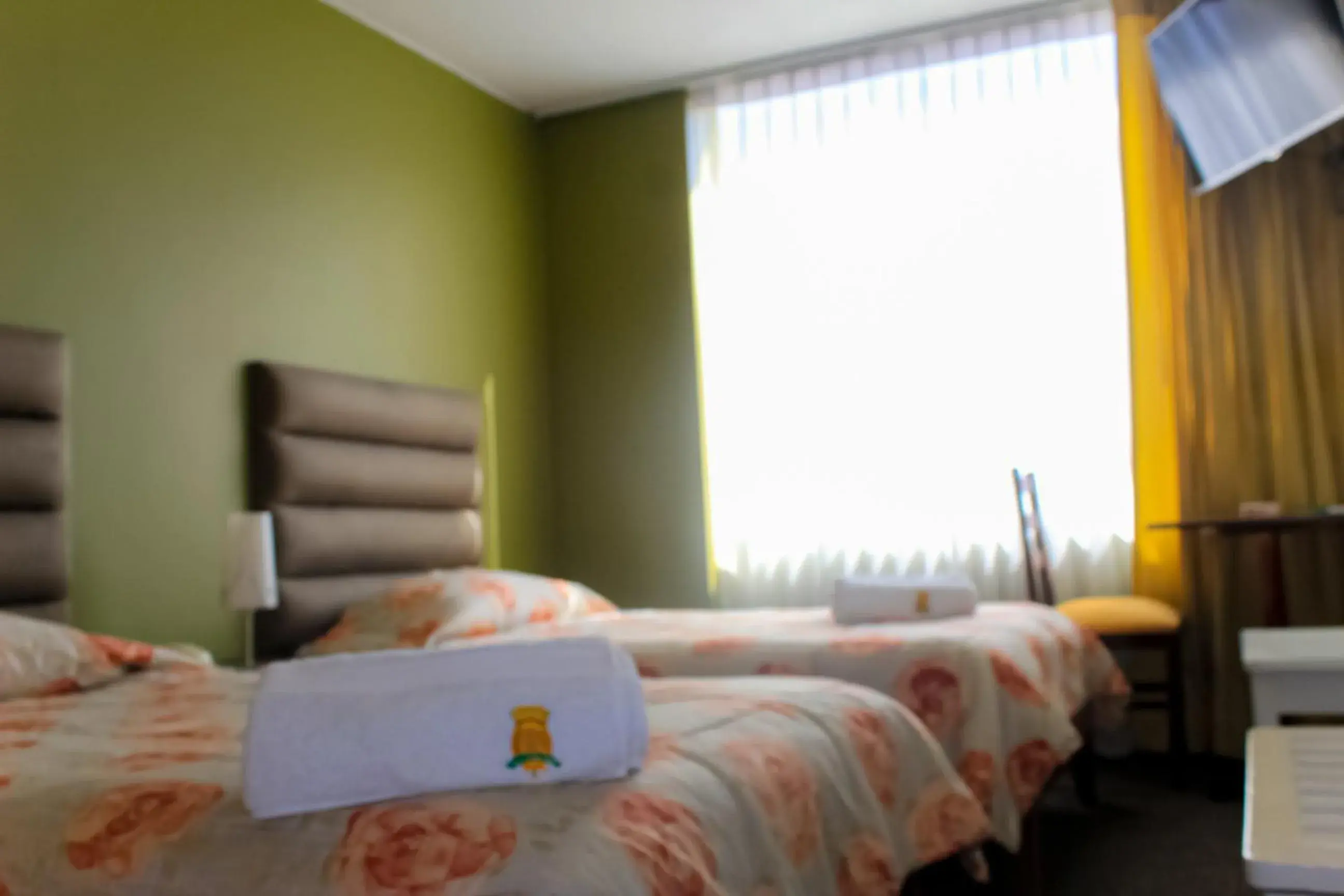 Twin Room in Hotel San Felipe Suites Twin Room in Hotel San Felipe Suites