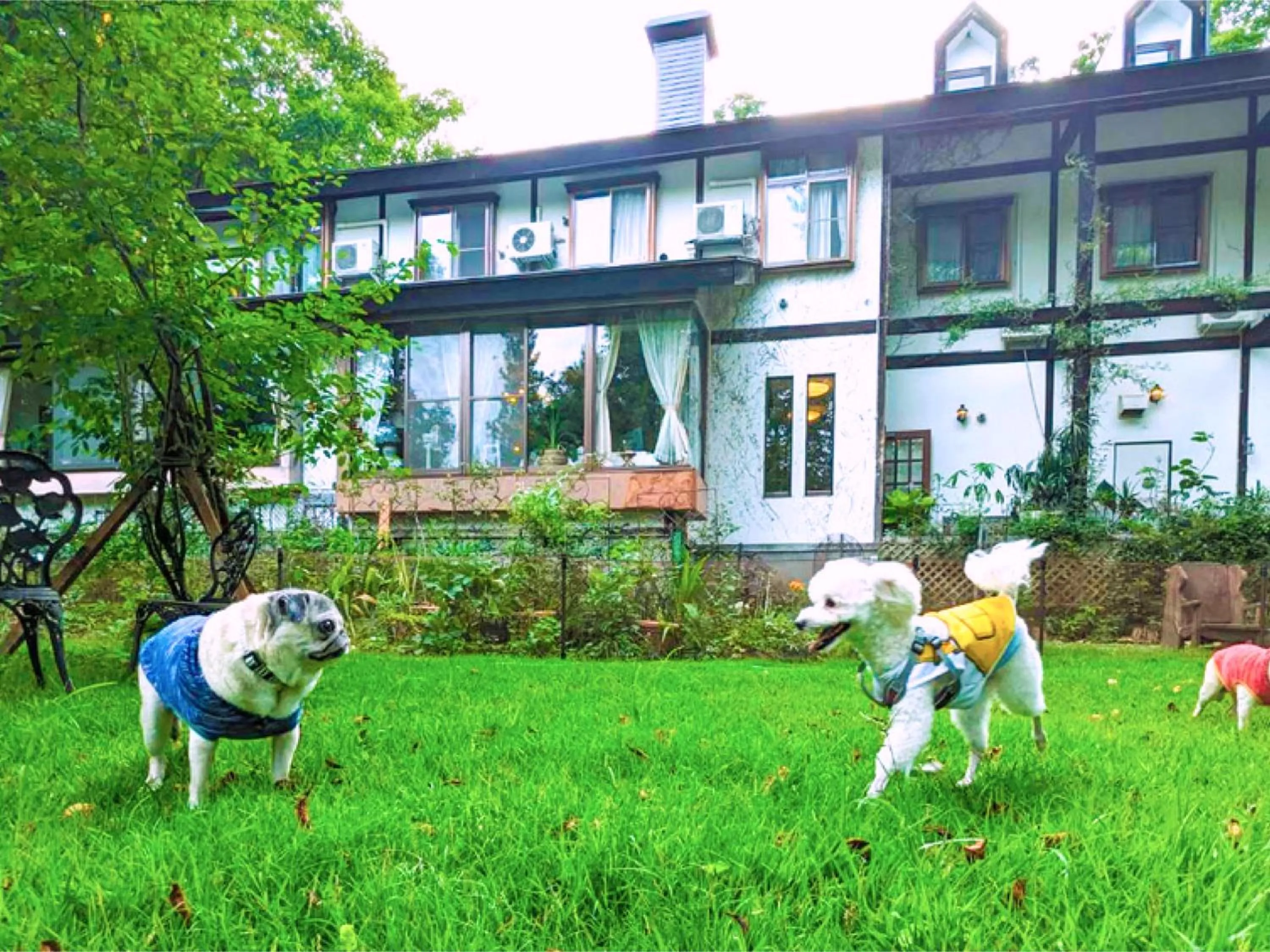 Area and facilities in Garden Pension Obergurgl
