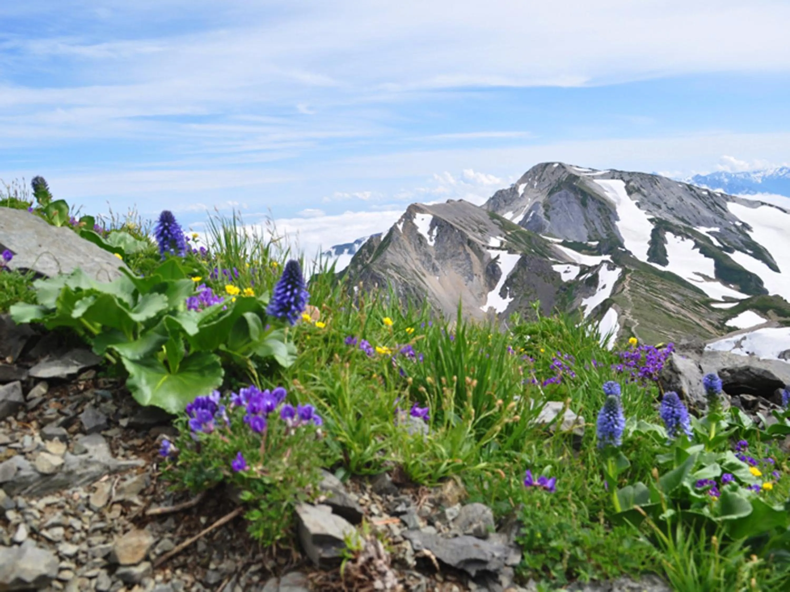 Natural landscape in Garden Pension Obergurgl