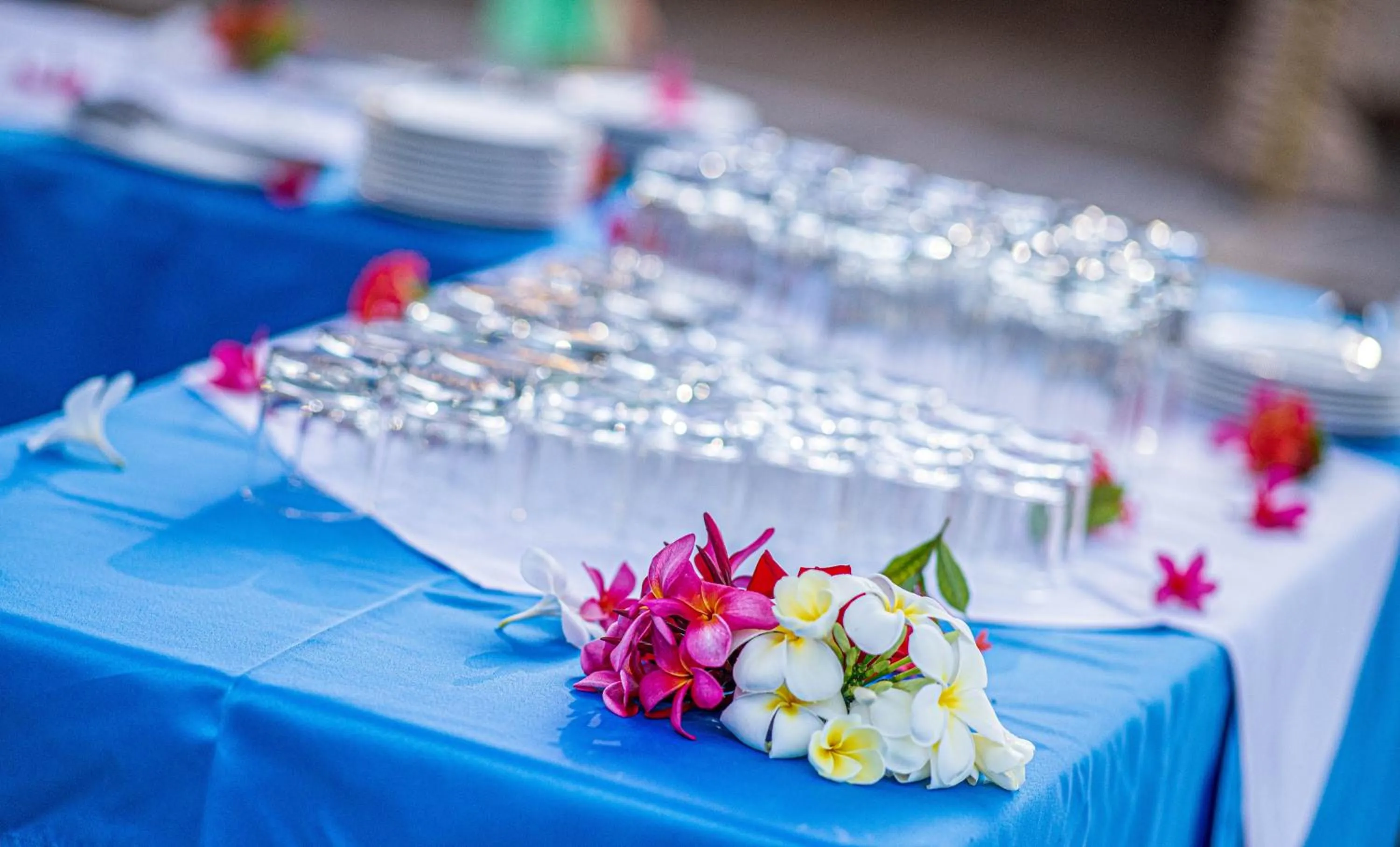 Banquet/Function facilities in Hotel Tieti