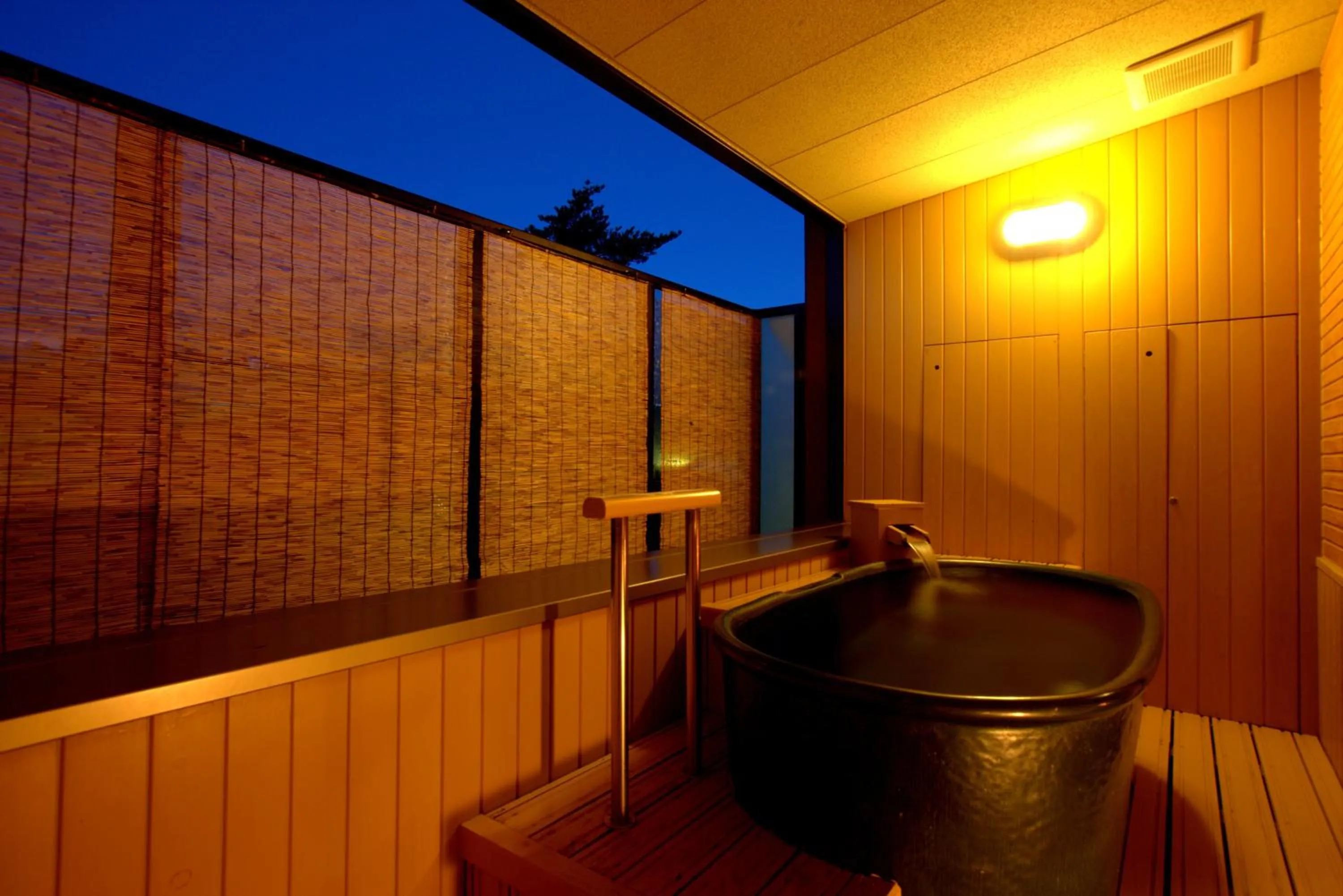 Shower in Hotel Sakurai