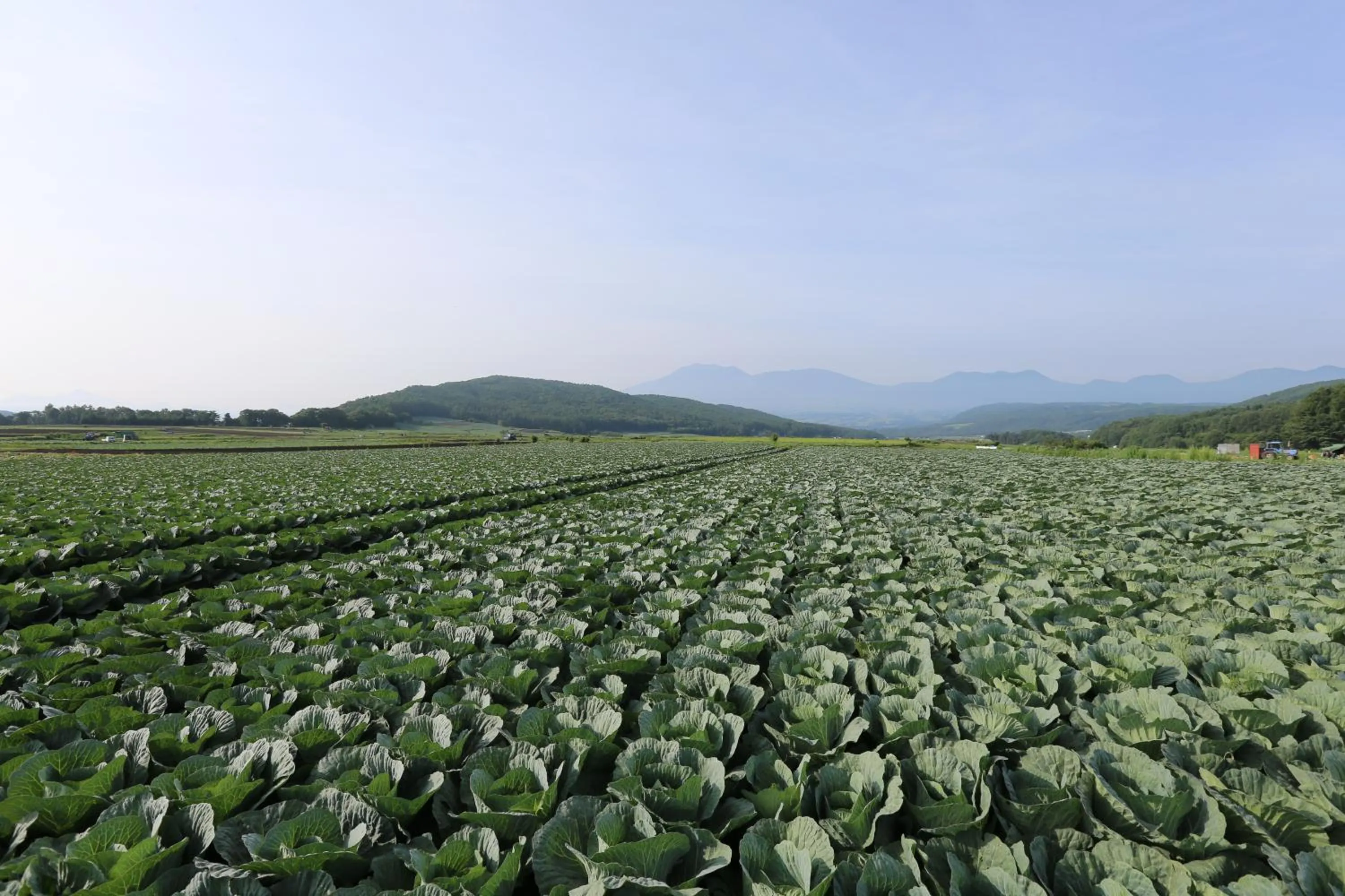Nearby landmark in Hotel Sakurai
