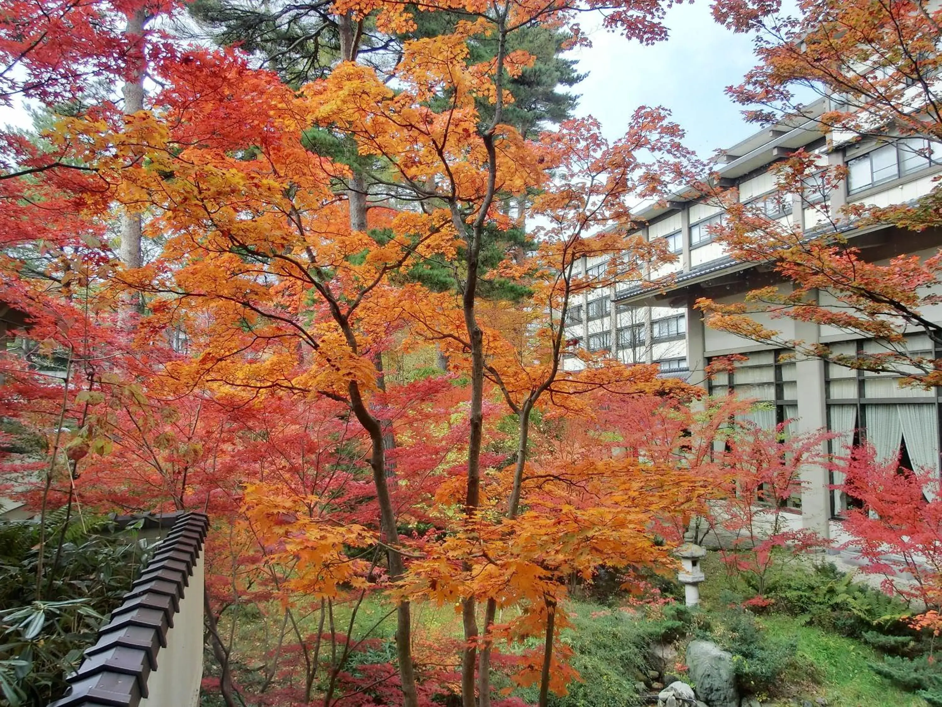 View (from property/room) in Hotel Sakurai View (from property/room) in Hotel Sakurai