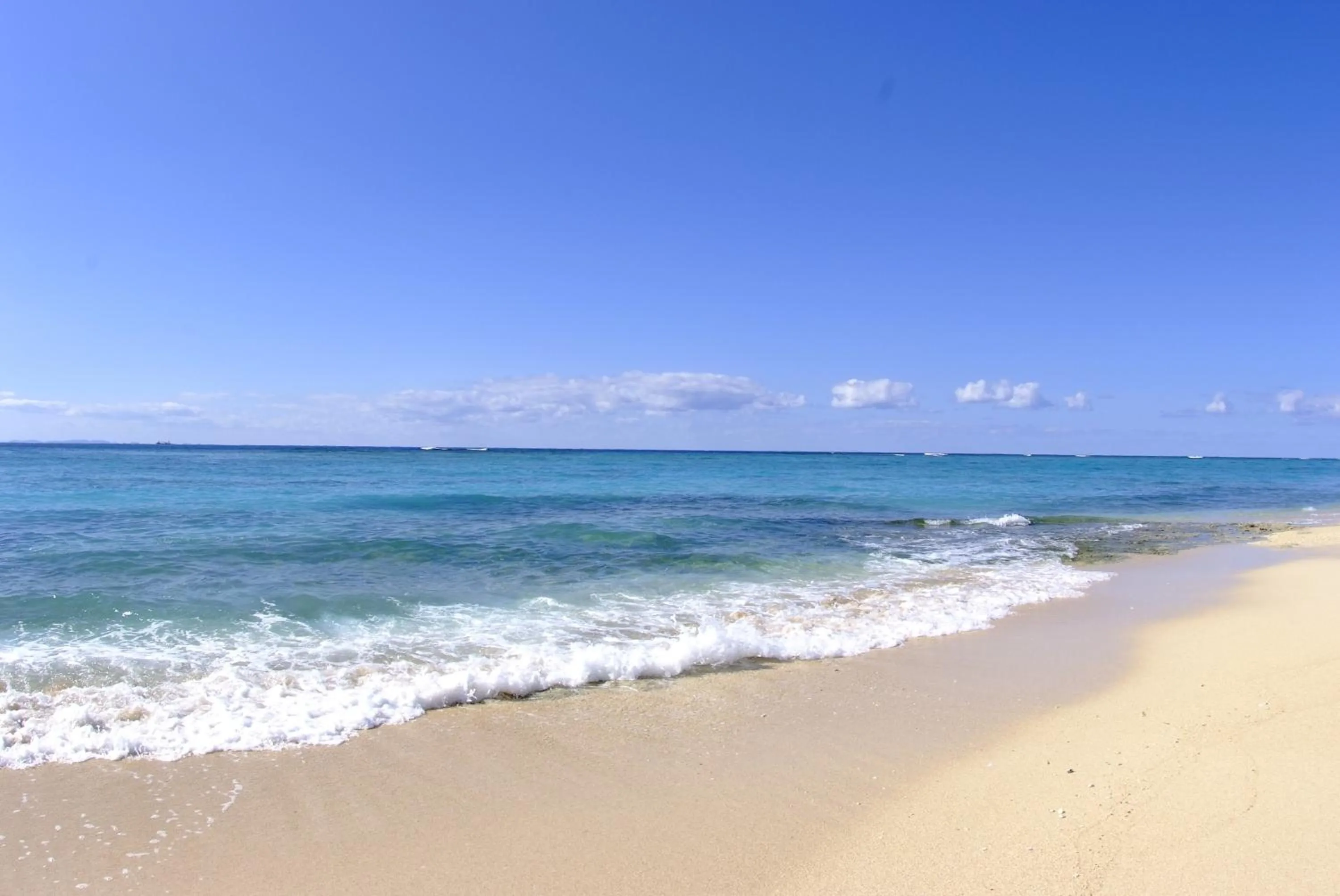 Beach in Beach Resort Morimar