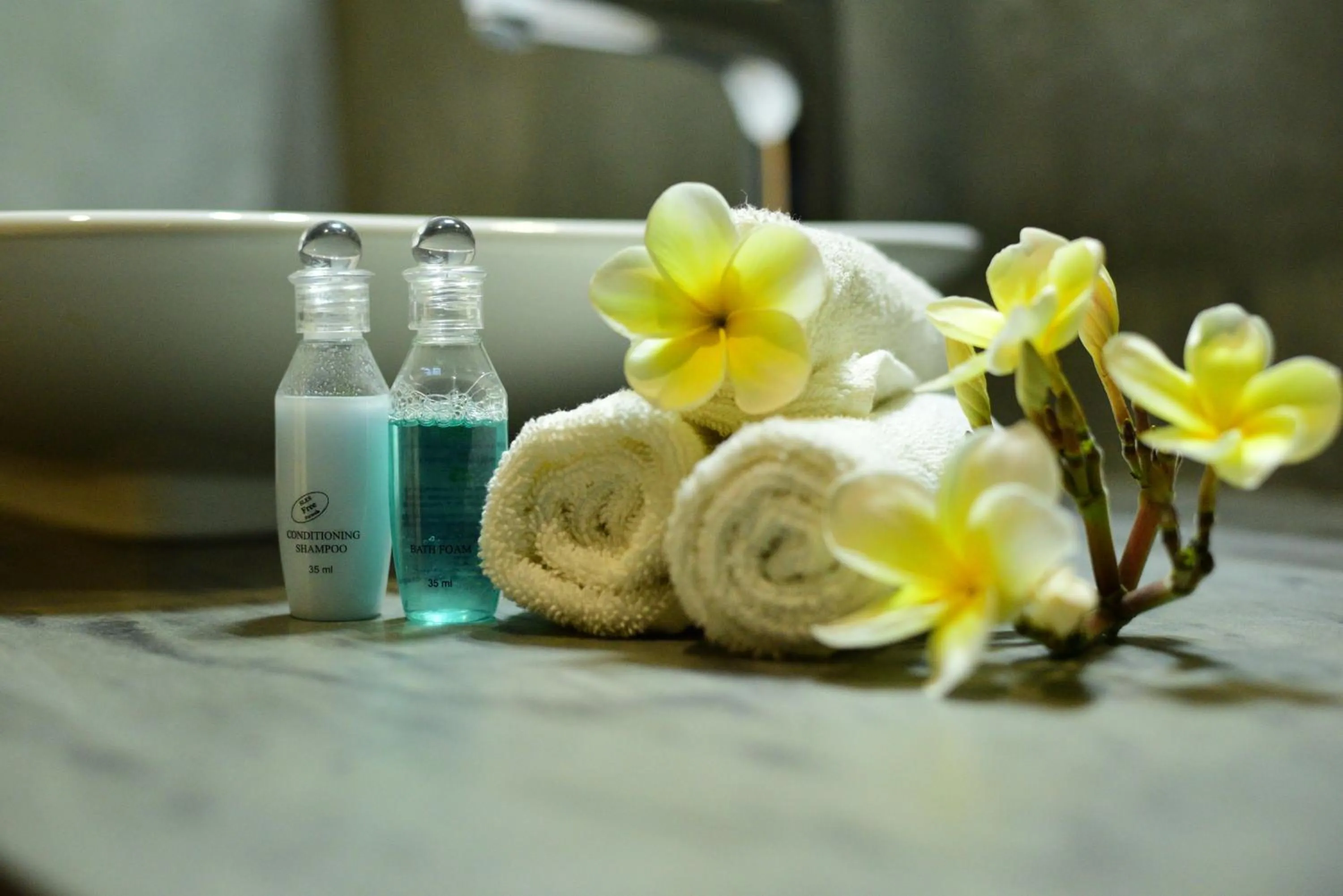 Bathroom in Elephant Trail