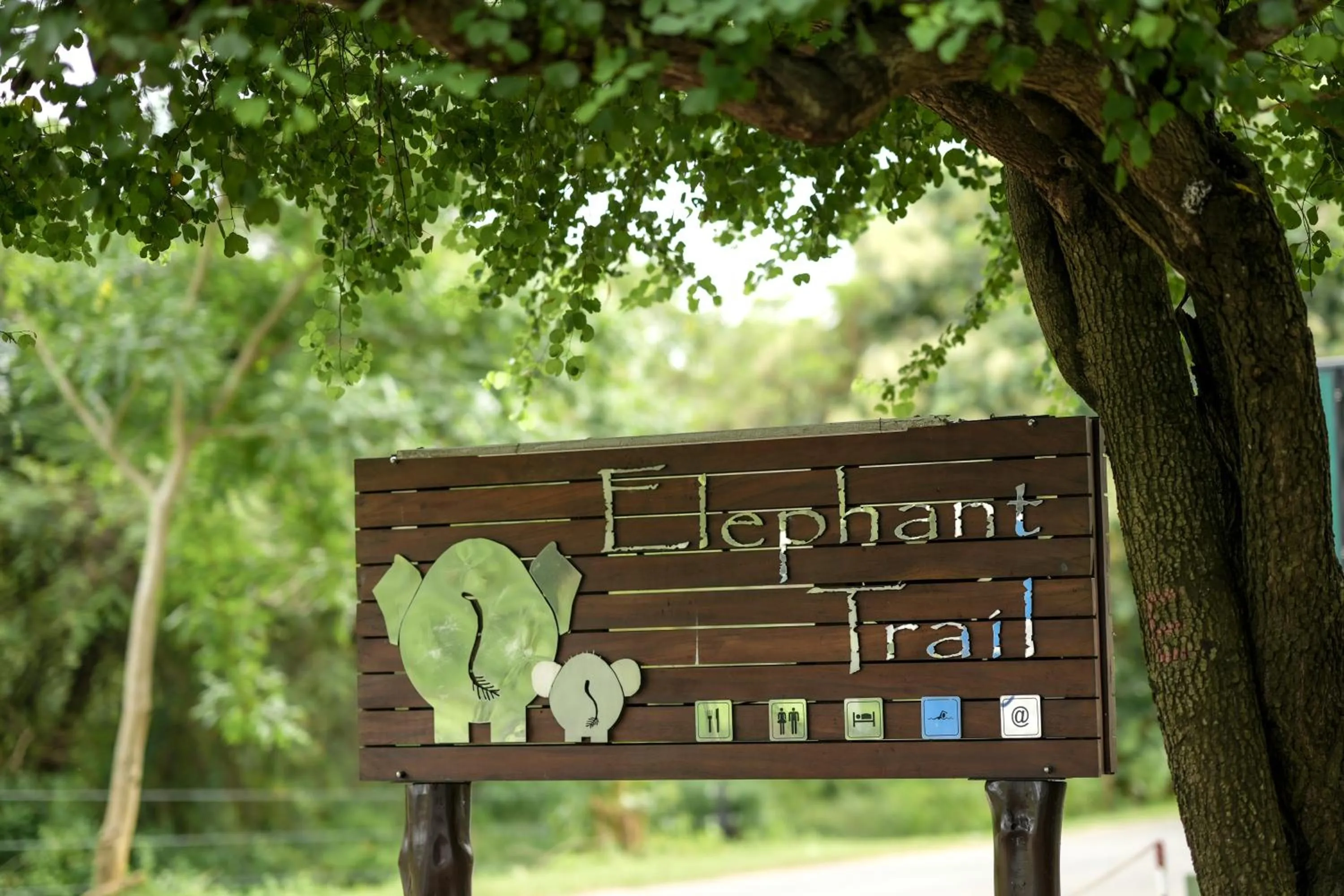 Landmark view in Elephant Trail