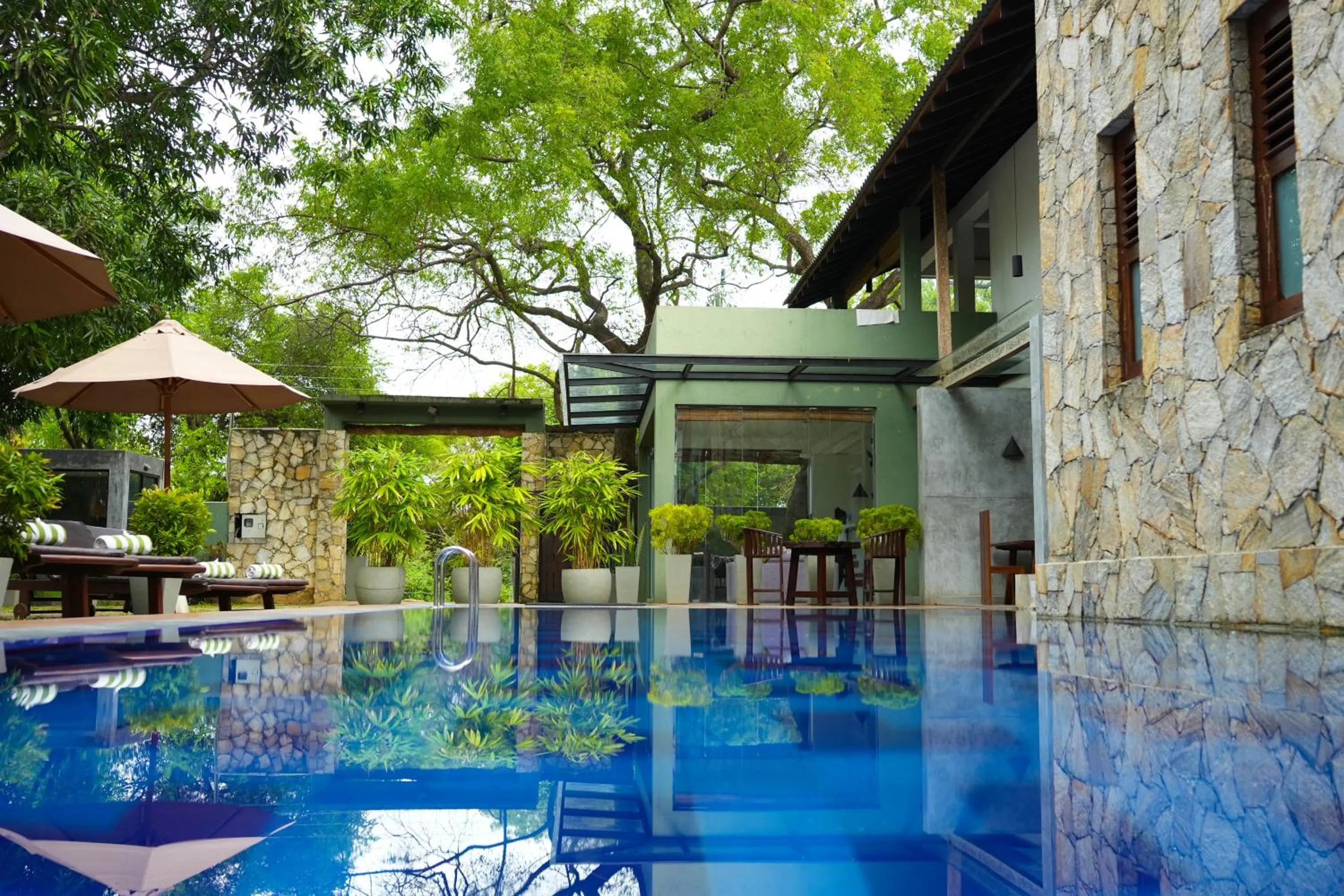 Day in Elephant Trail