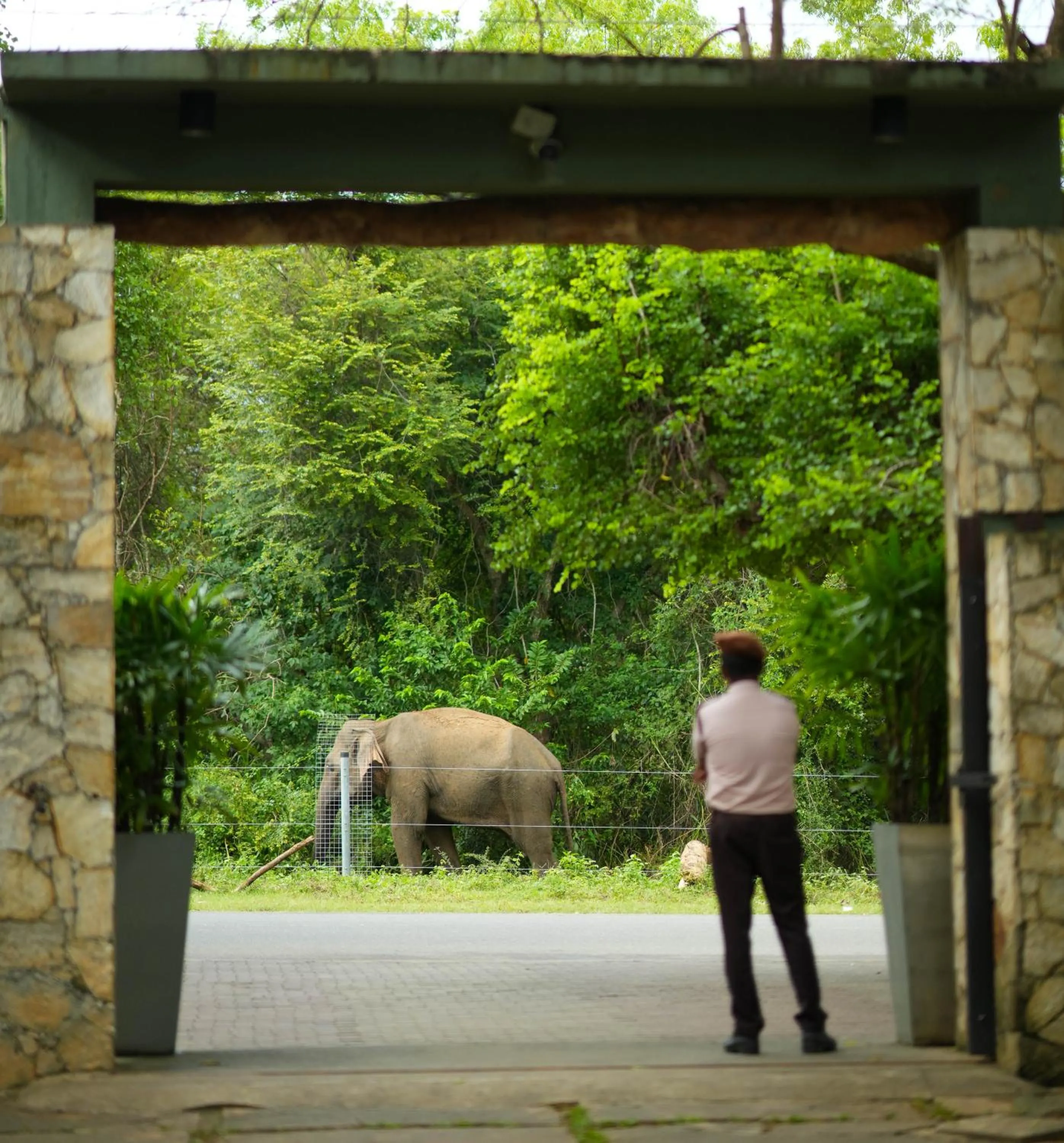 Landmark view in Elephant Trail