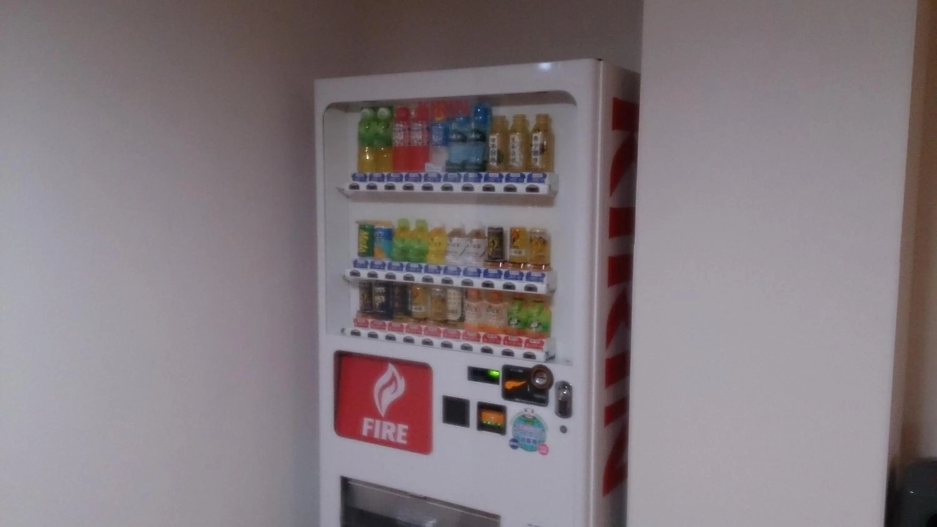 Other in Hotel Select Inn Saitama Moroyama