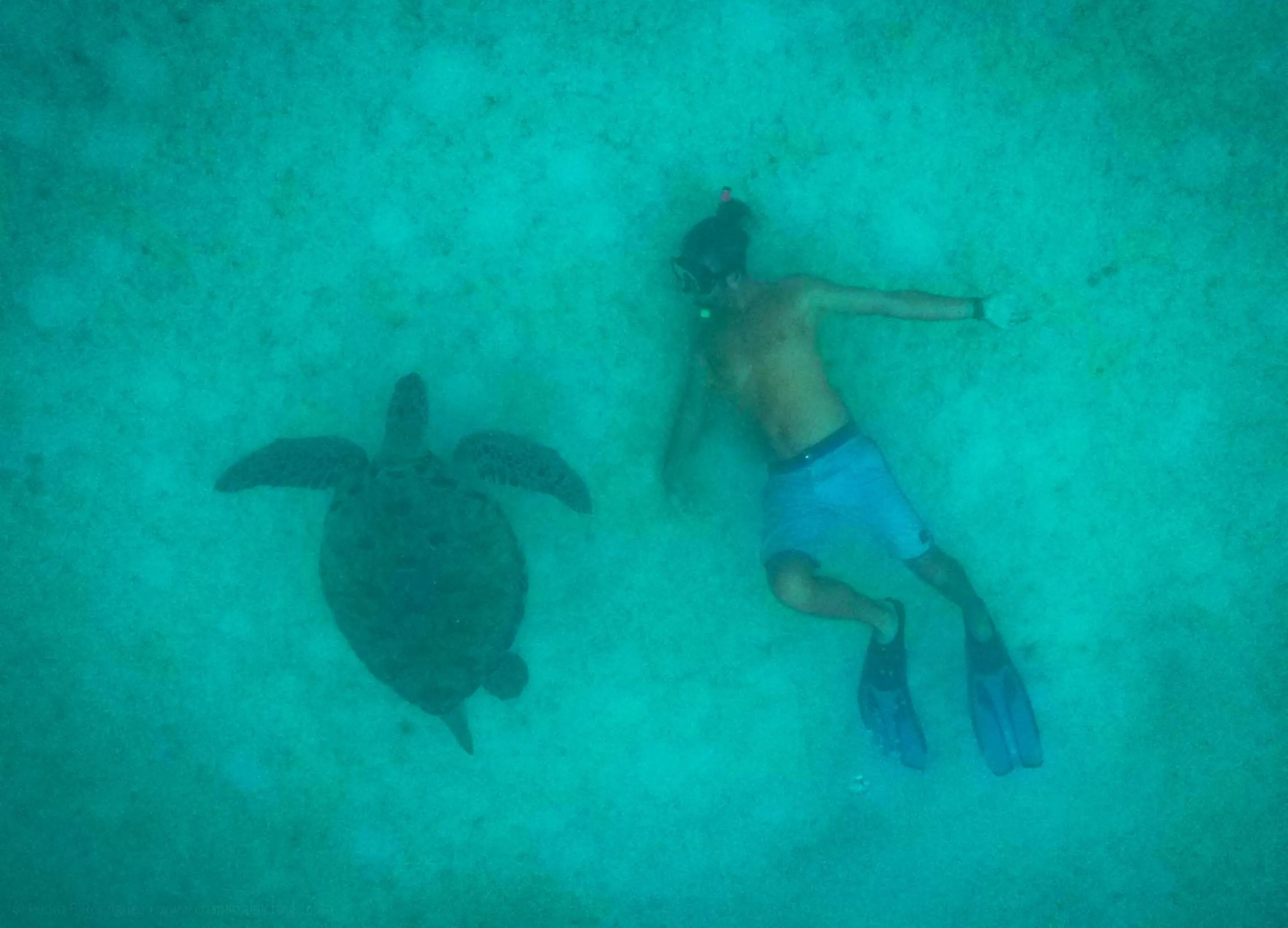 Activities in Alunan Resort