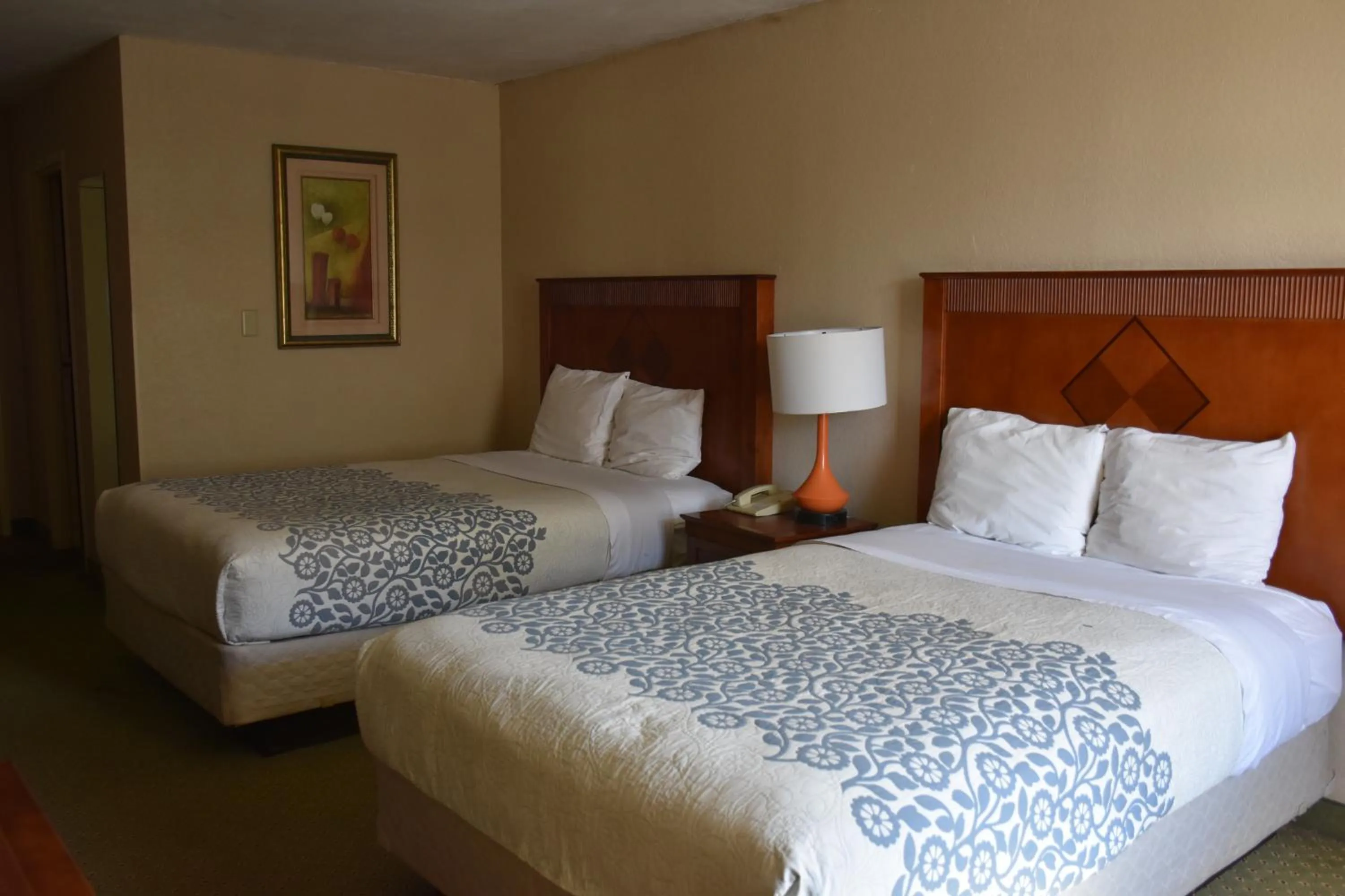 Photo of the whole room, Bed in Moonlight Inn Hotel O Hattiesburg, MS