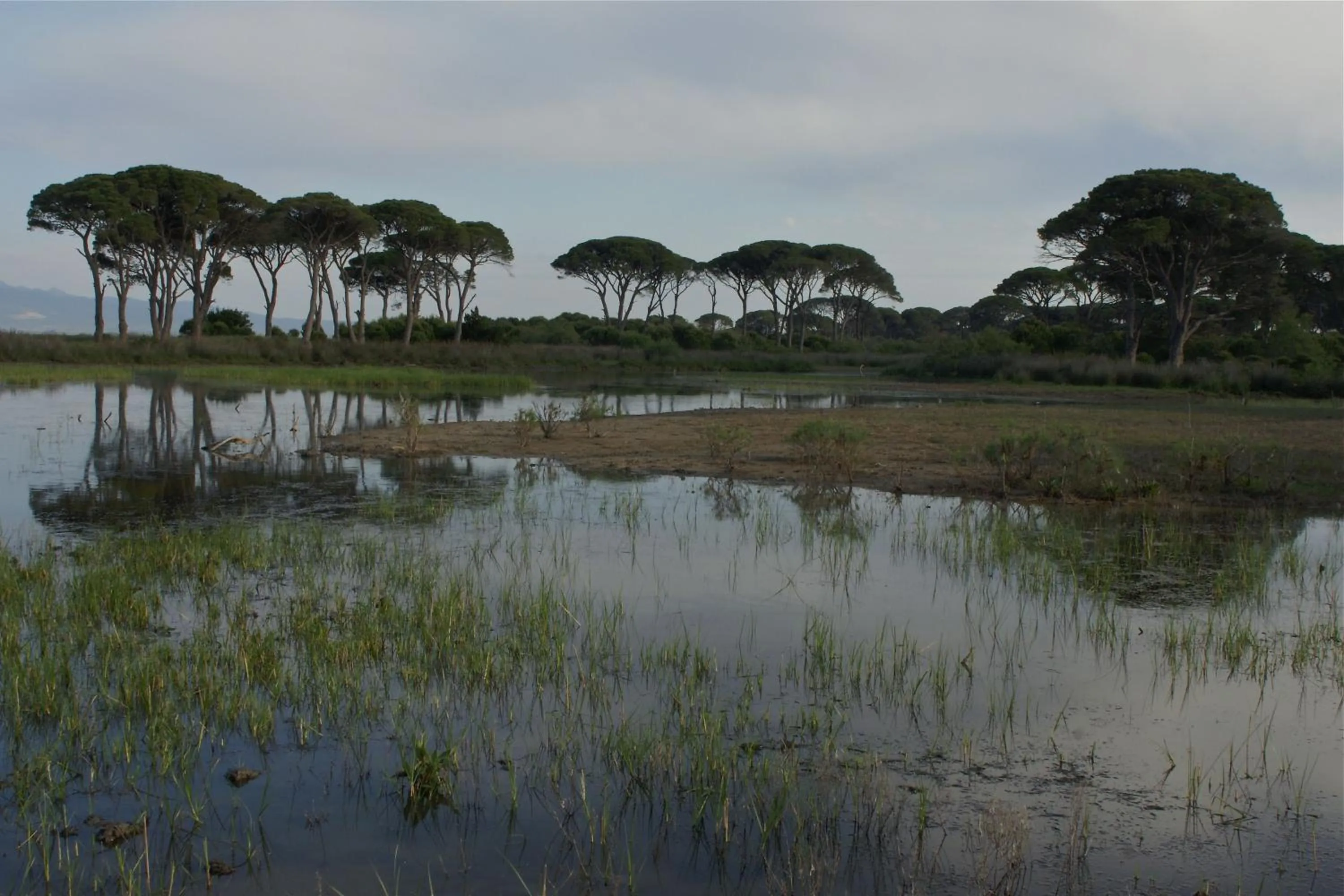 Verde Al Mare Boutique Hotel
