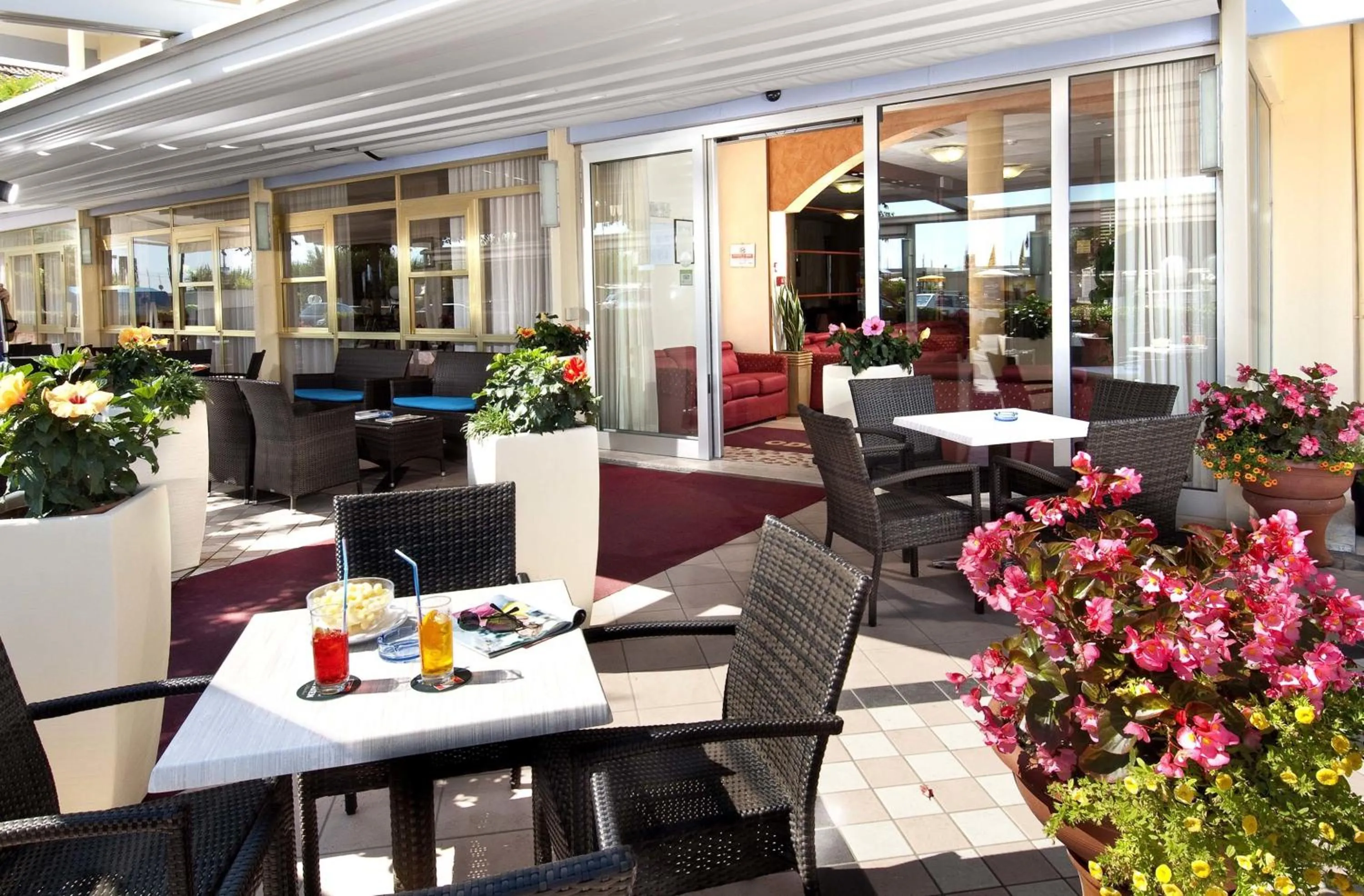 Garden in Hotel Odeon