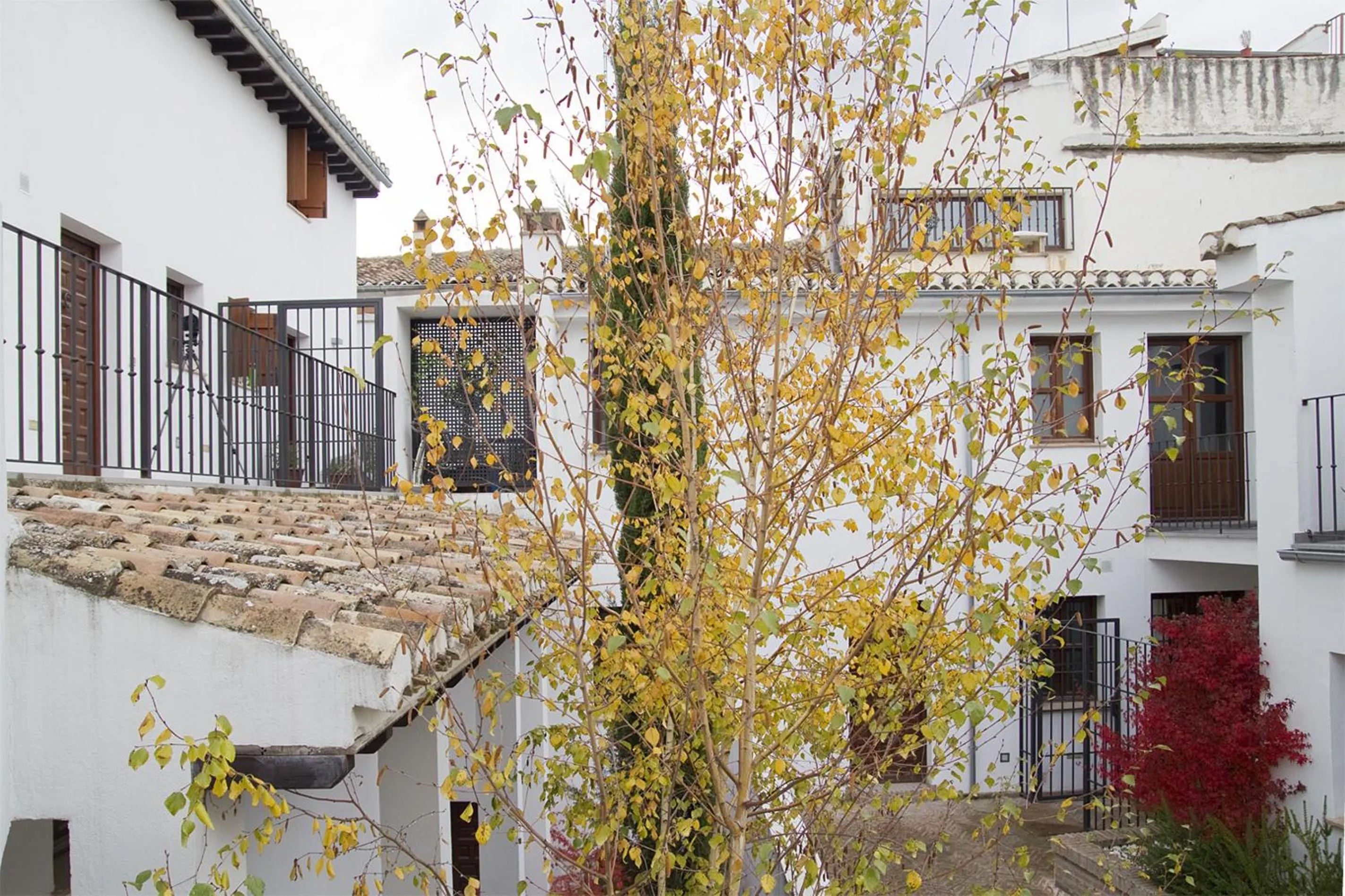 Patio in Smart Suites Albaicin