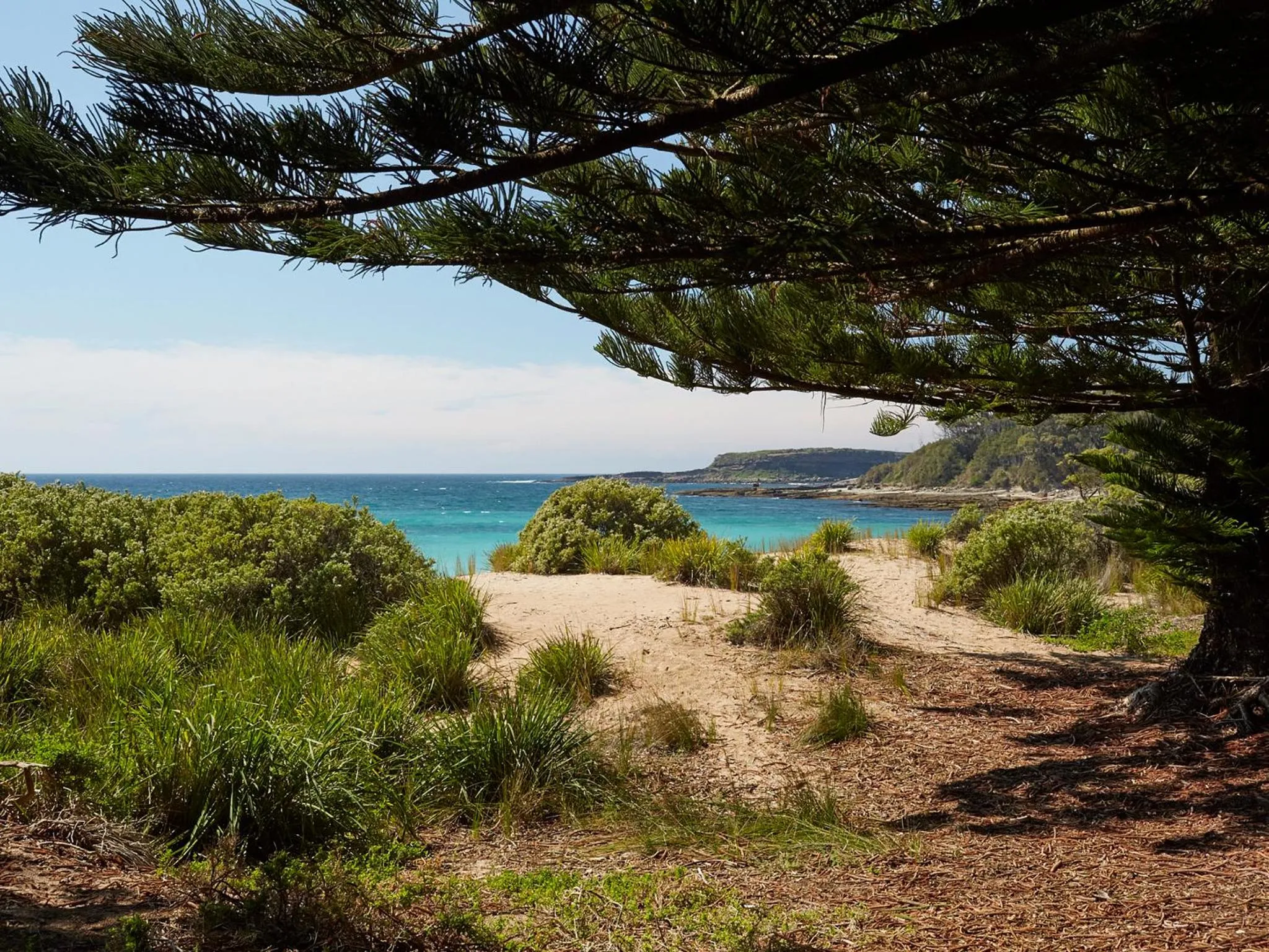 Beach in NRMA Murramarang Beachfront Holiday Resort