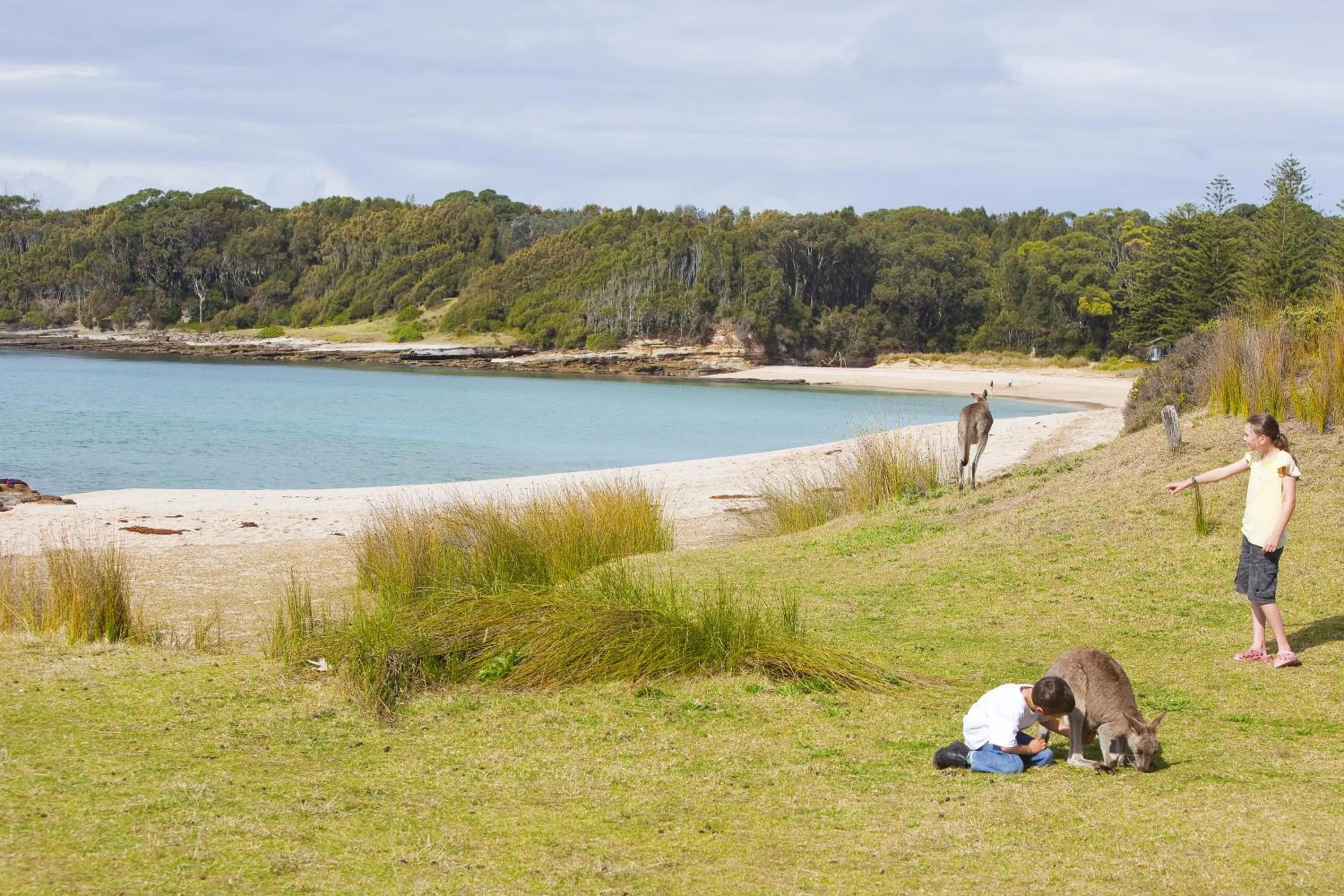 Area and facilities in NRMA Murramarang Beachfront Holiday Resort