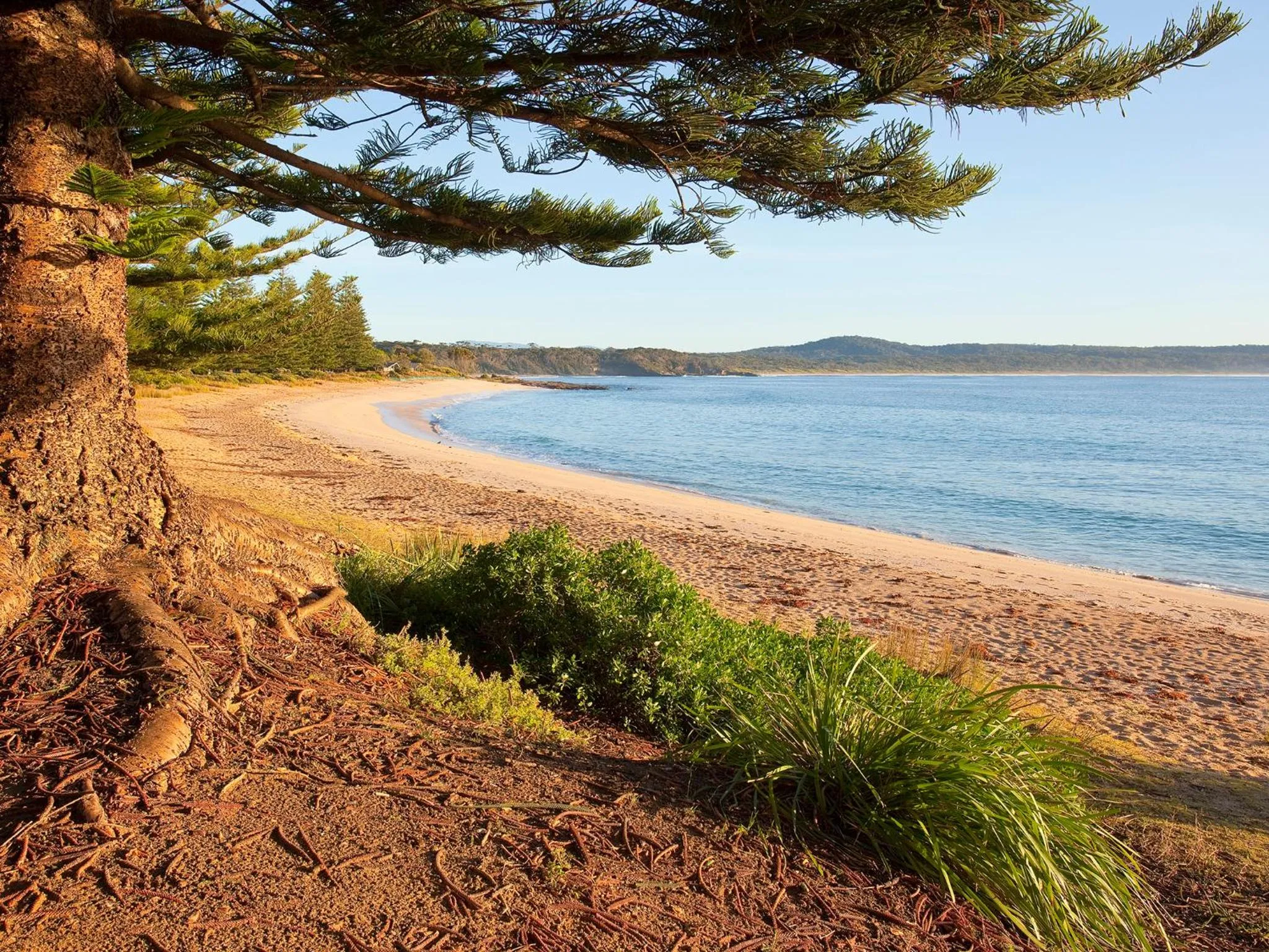 Beach in NRMA Murramarang Beachfront Holiday Resort