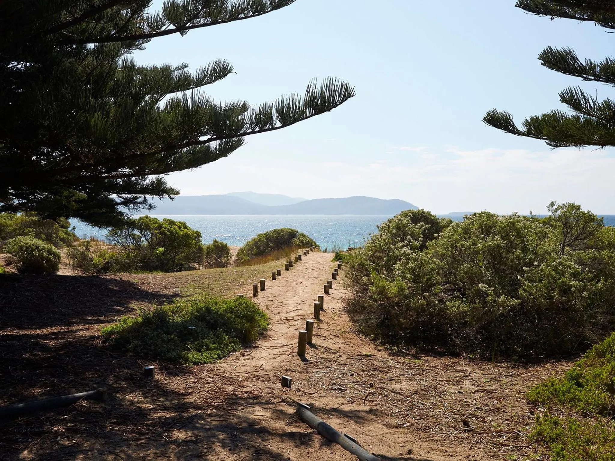 Natural landscape in NRMA Murramarang Beachfront Holiday Resort