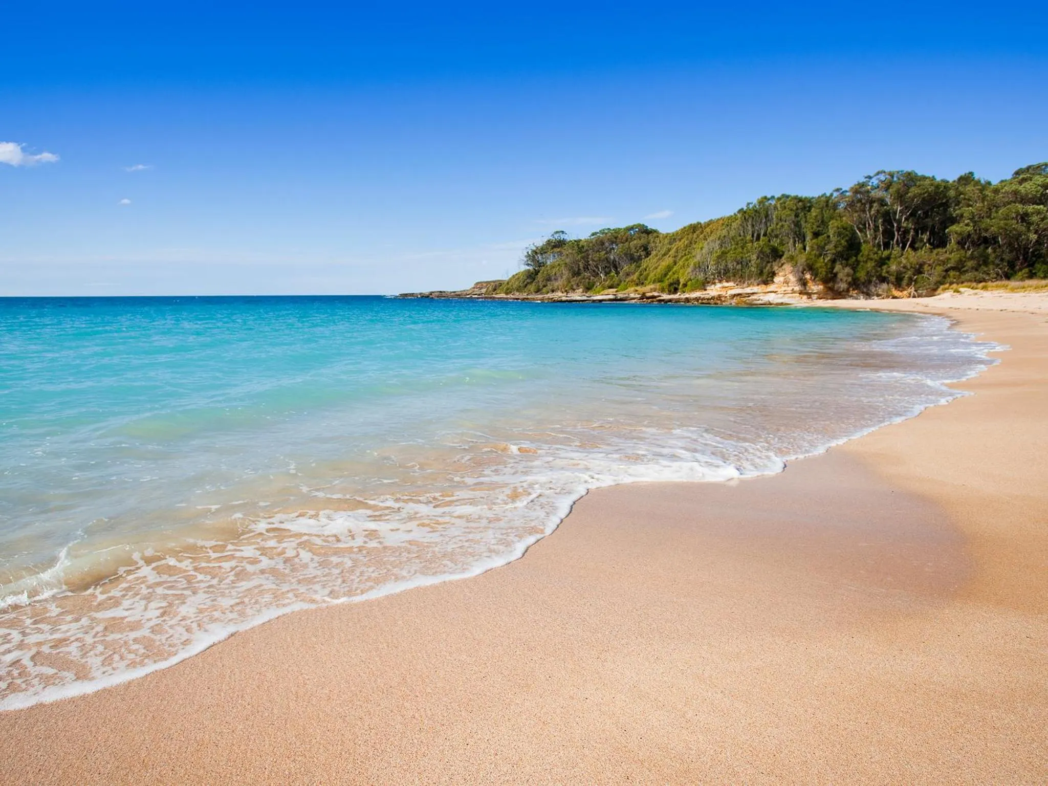 Beach in NRMA Murramarang Beachfront Holiday Resort