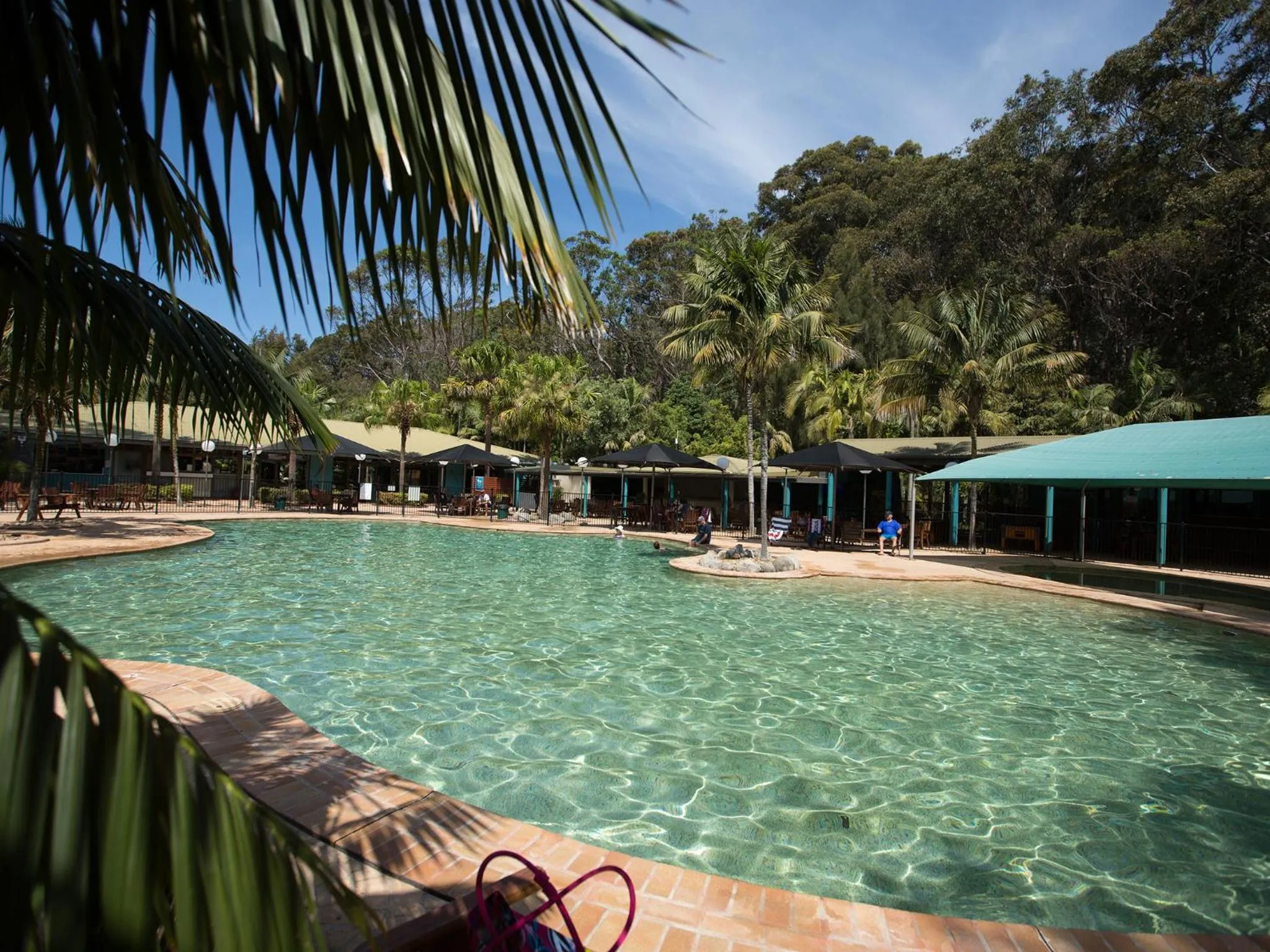 Swimming pool in NRMA Murramarang Beachfront Holiday Resort